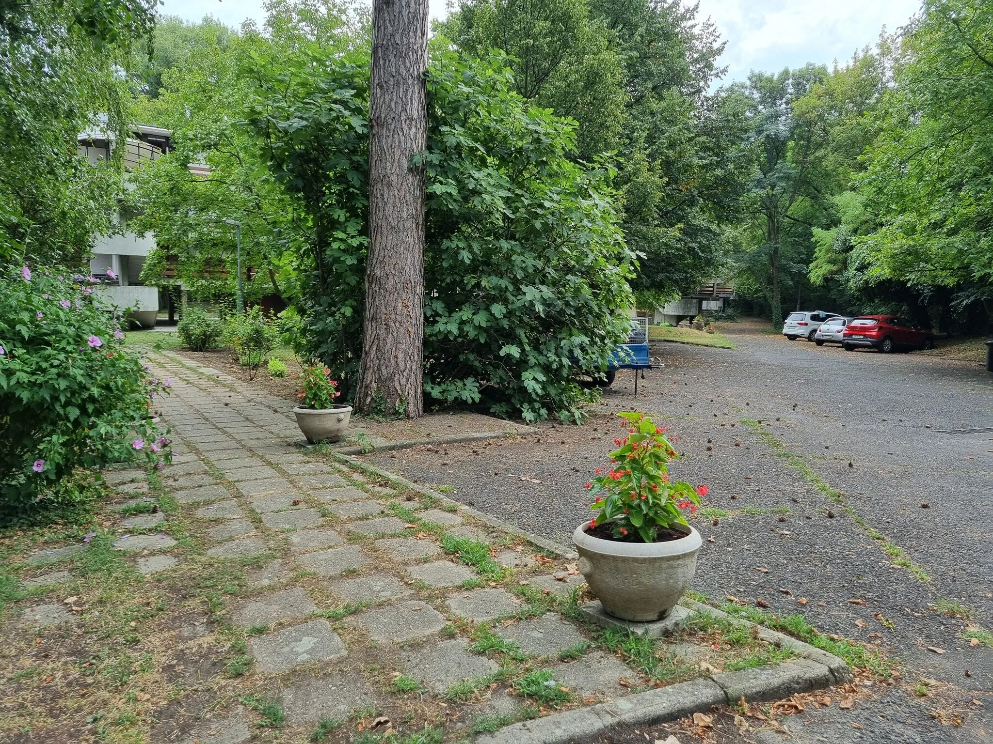 DunAPARTMENTén Leányfalu - foto 6