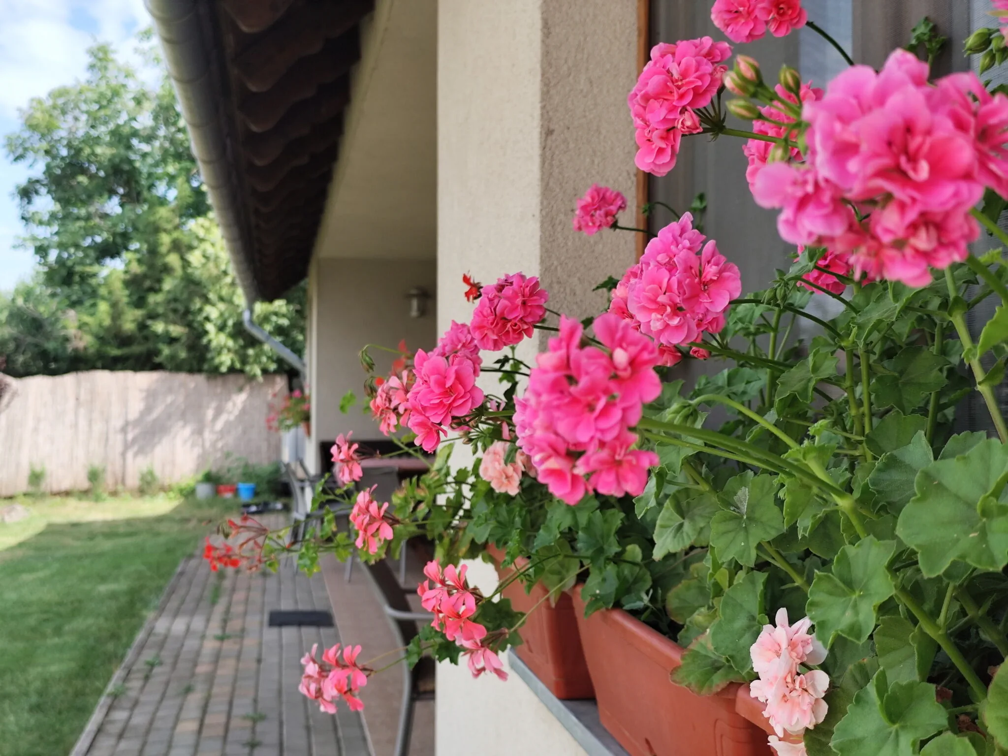 Koroknai Porta Báránd - foto 8