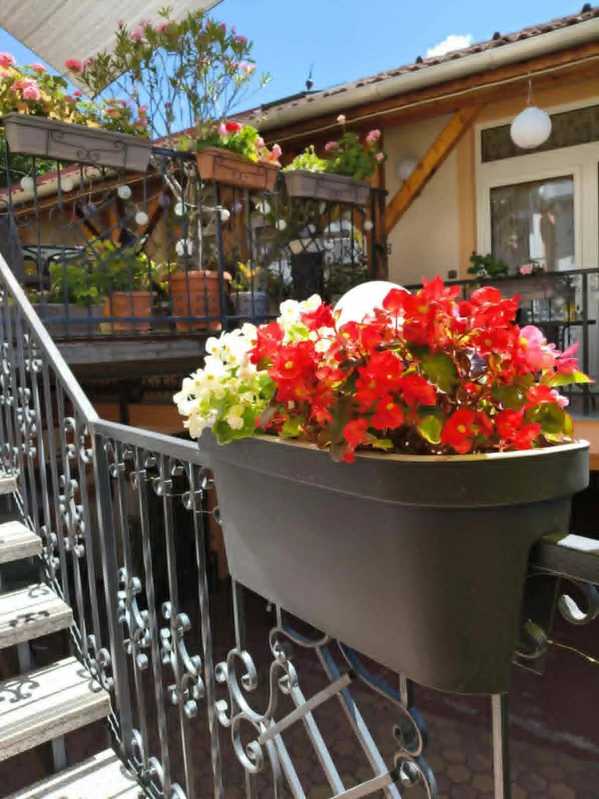Hotel Isabell Győr - foto 10