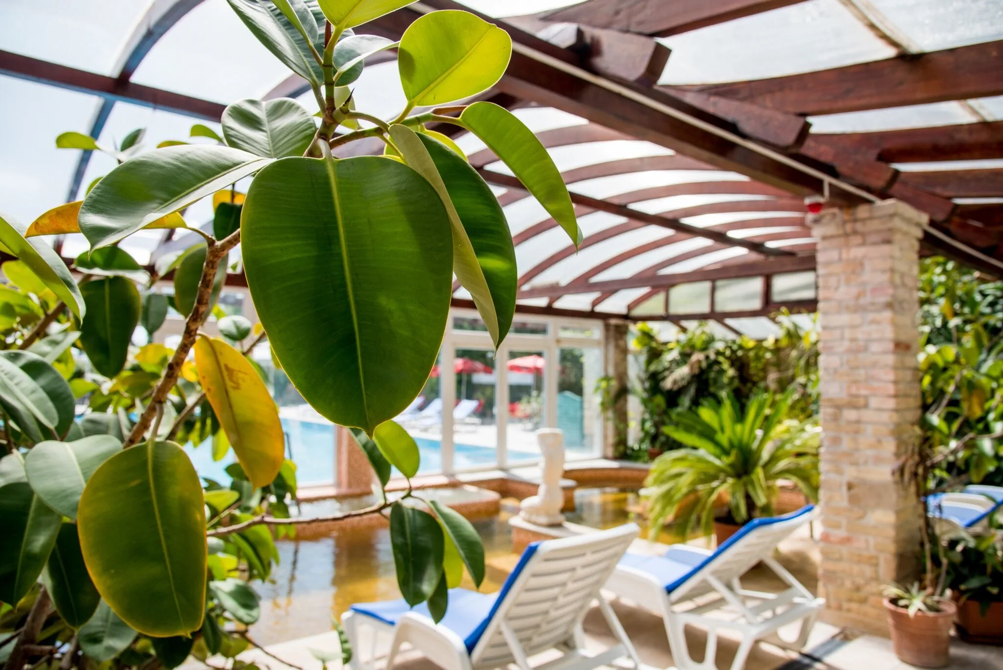 Nyerges Hotel Termál Monor – Monor, Maďarsko