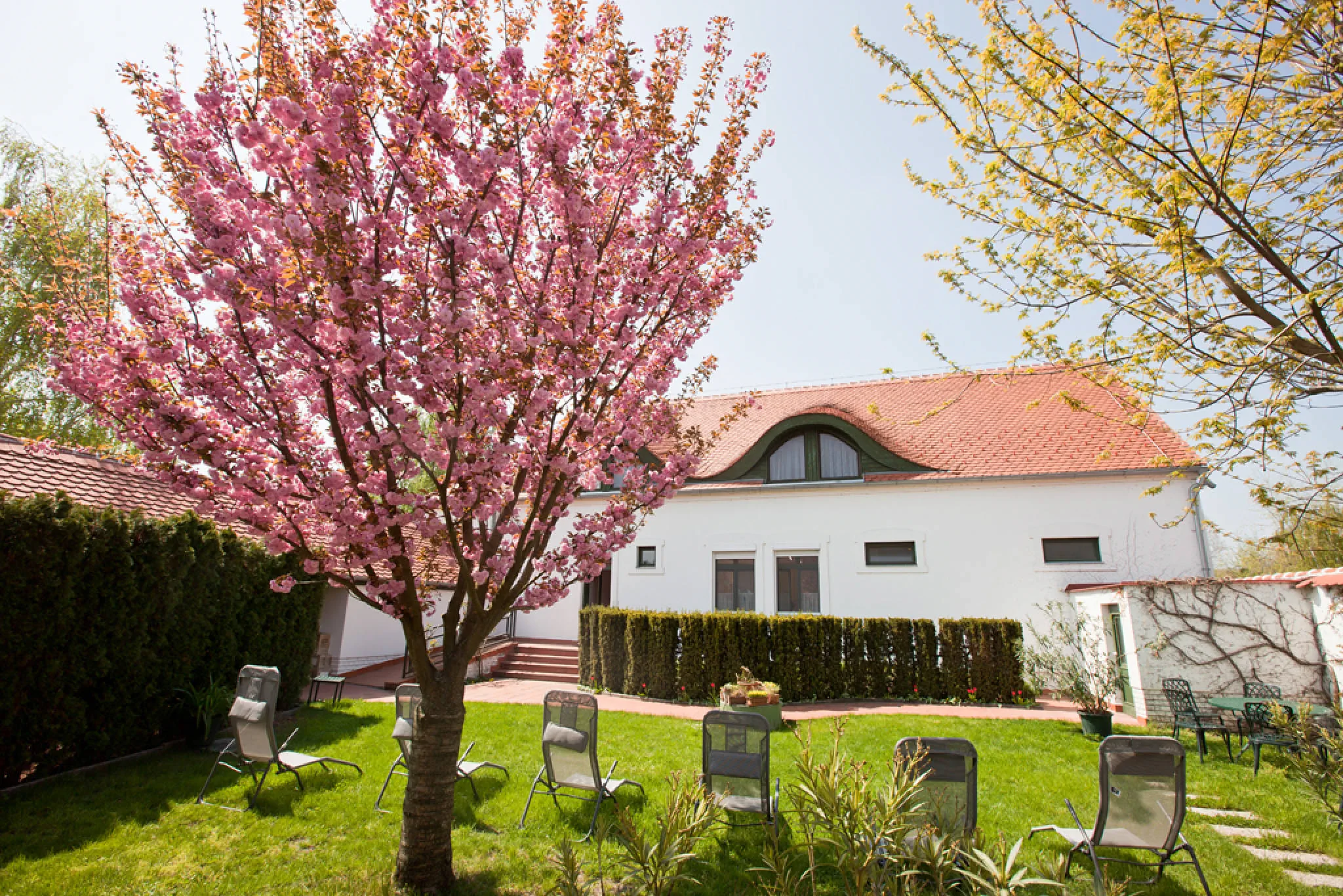 Tornácos Hotel Hegykő – Hegykő, Ungaria