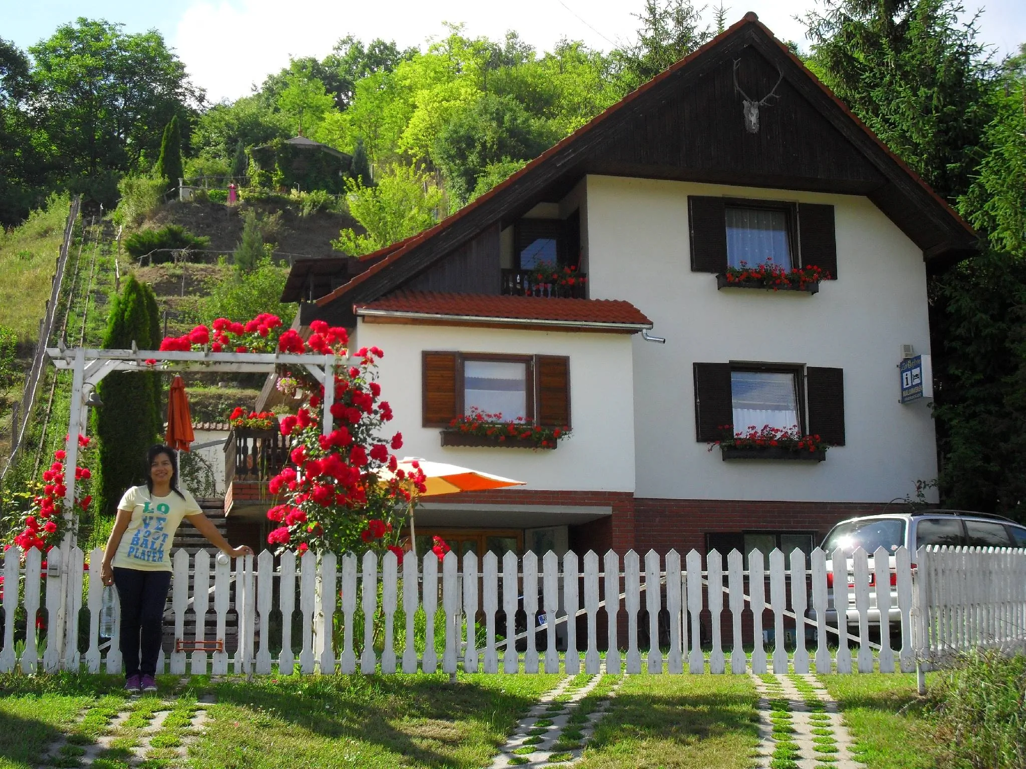 Malomkerék Vendégház I. Zebegény – Zebegény, Ungaria