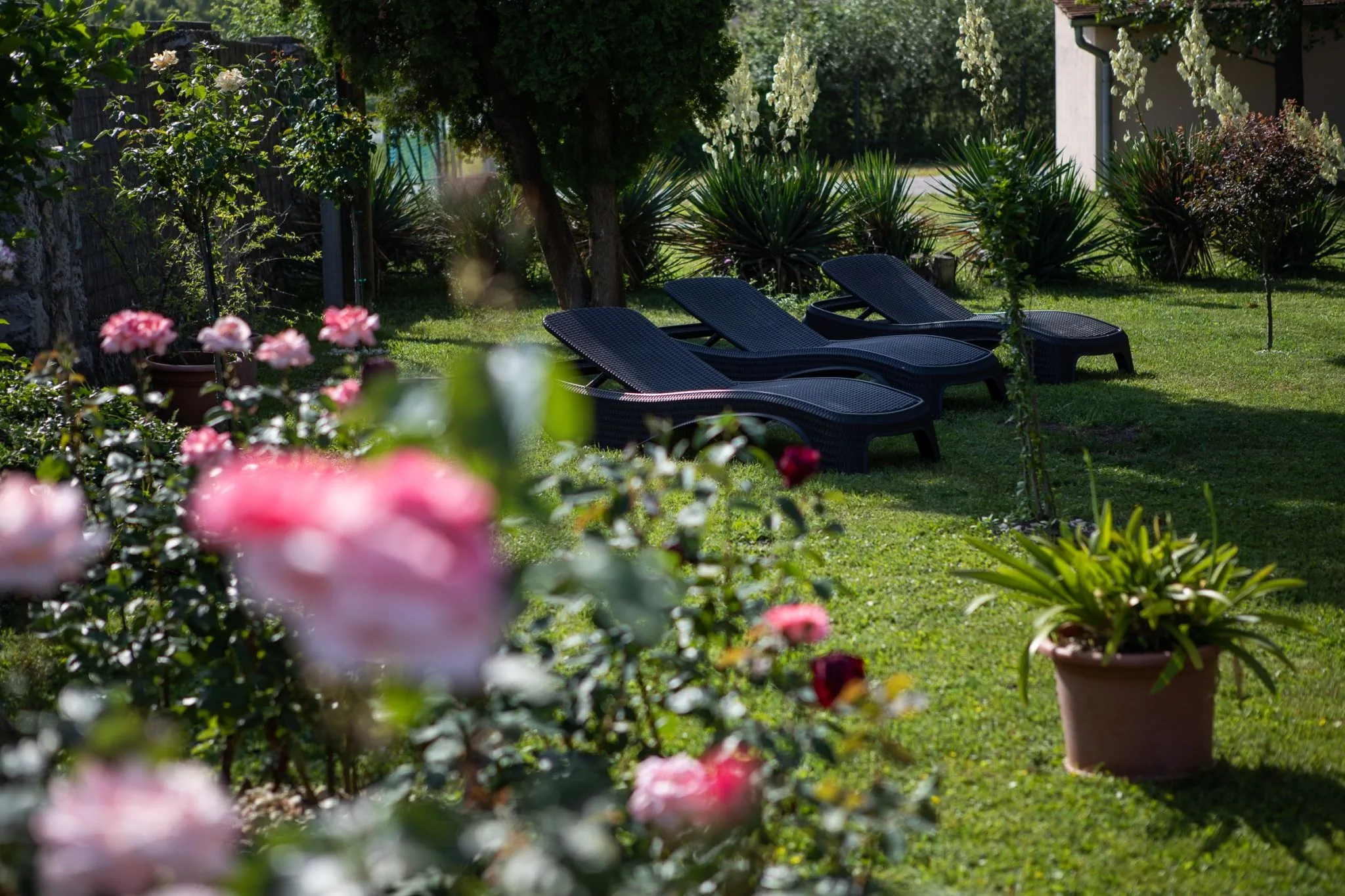 Zsanett Hotel Balatonkeresztúr – Balatonkeresztúr, Ungaria