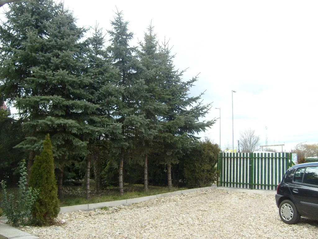 Kispipa Panzió Szombathely – Szombathely, Ungaria