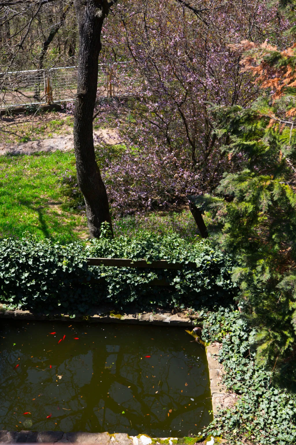 Berg Toboz Panzió Pécs – Pécs, Ungaria