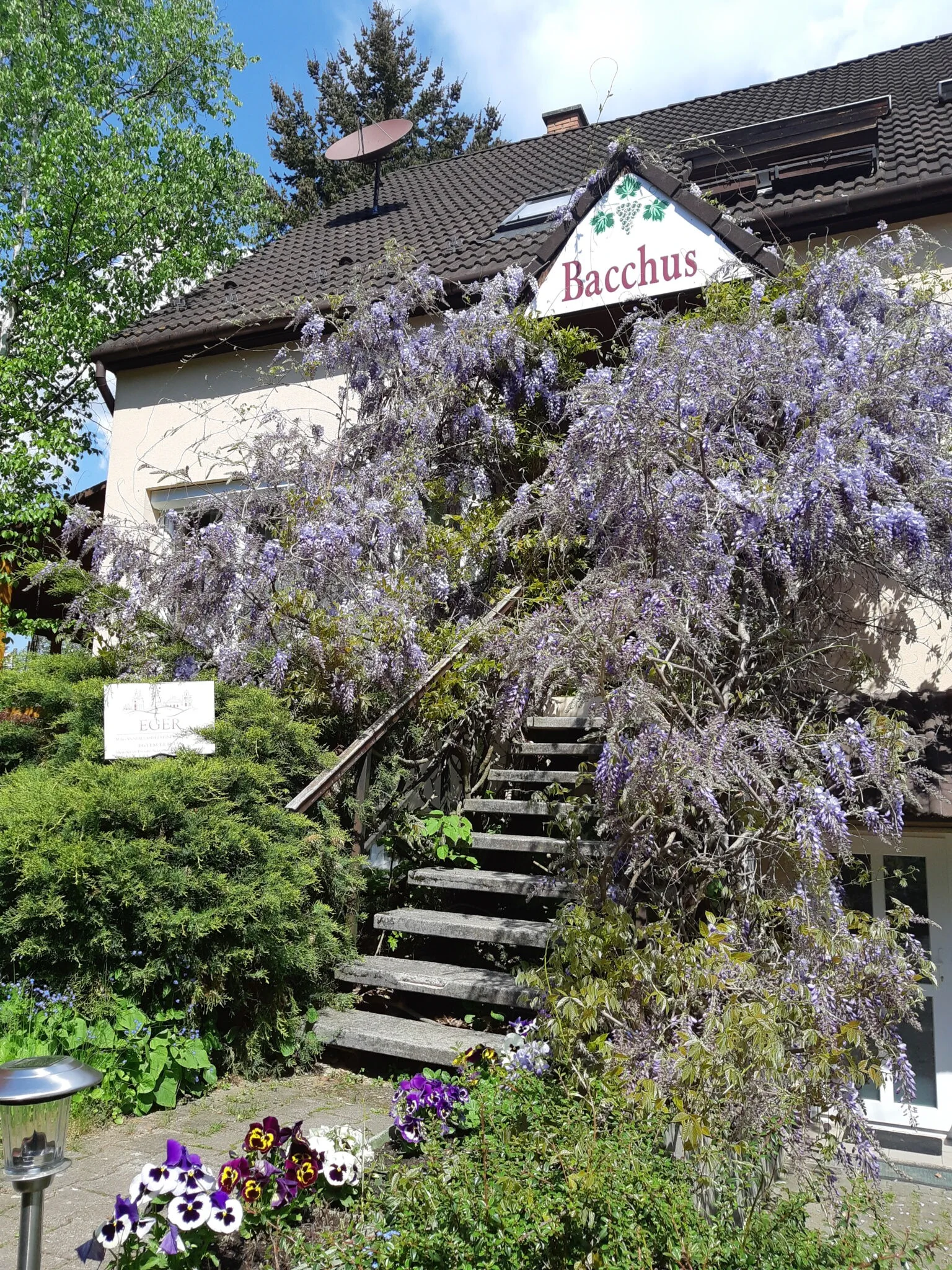 Bacchus Vendégház Eger - foto 2
