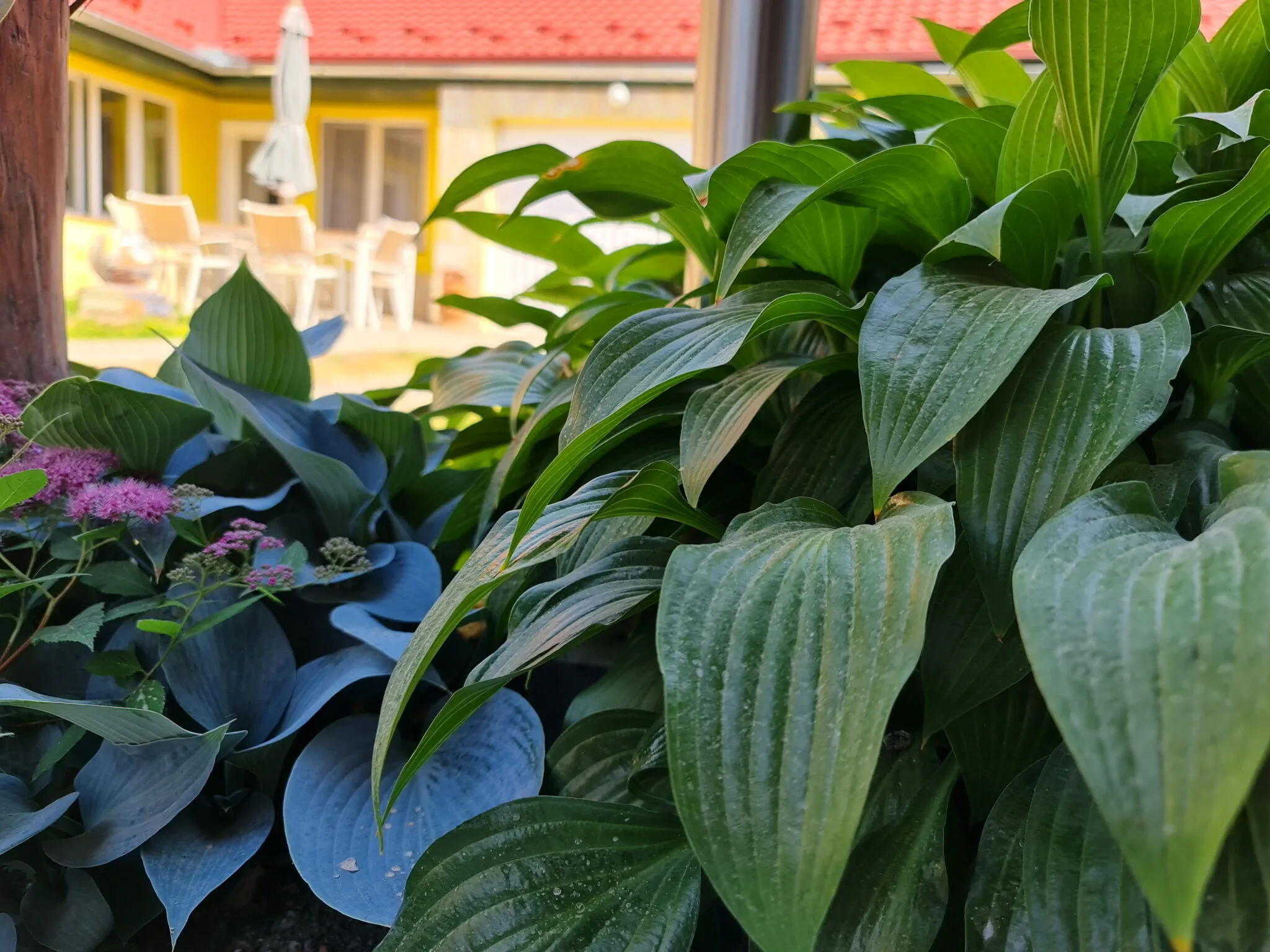 Kert Panzió Sárospatak – Sárospatak, Węgry