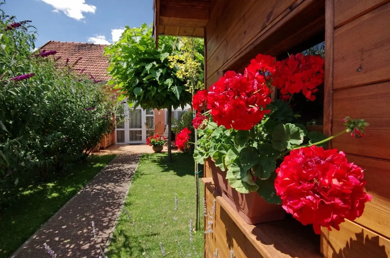 Villa Viola Gyula – Gyula, Węgry