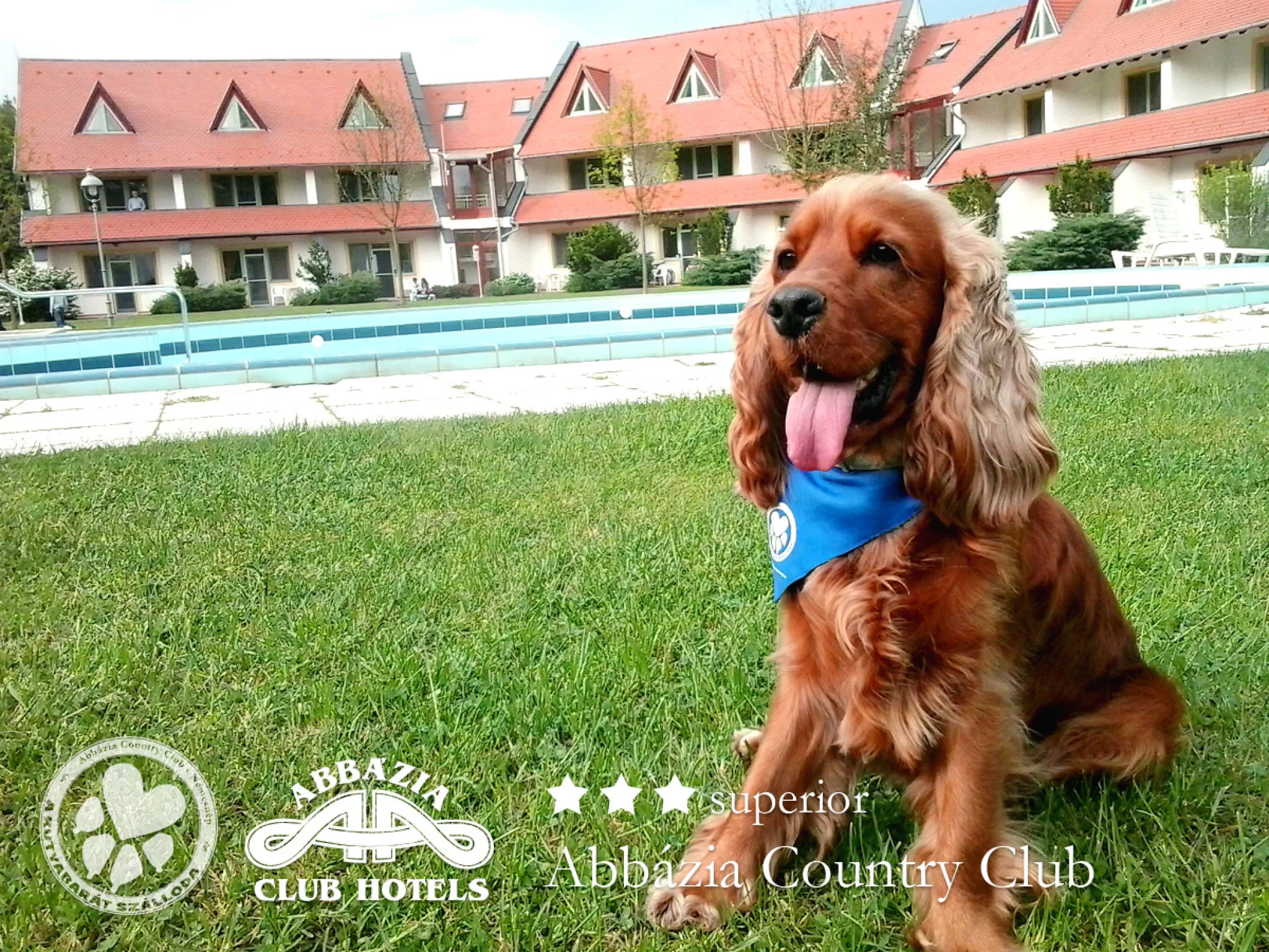 Abbázia Country Club Nemesnép – Nemesnép, Ungaria
