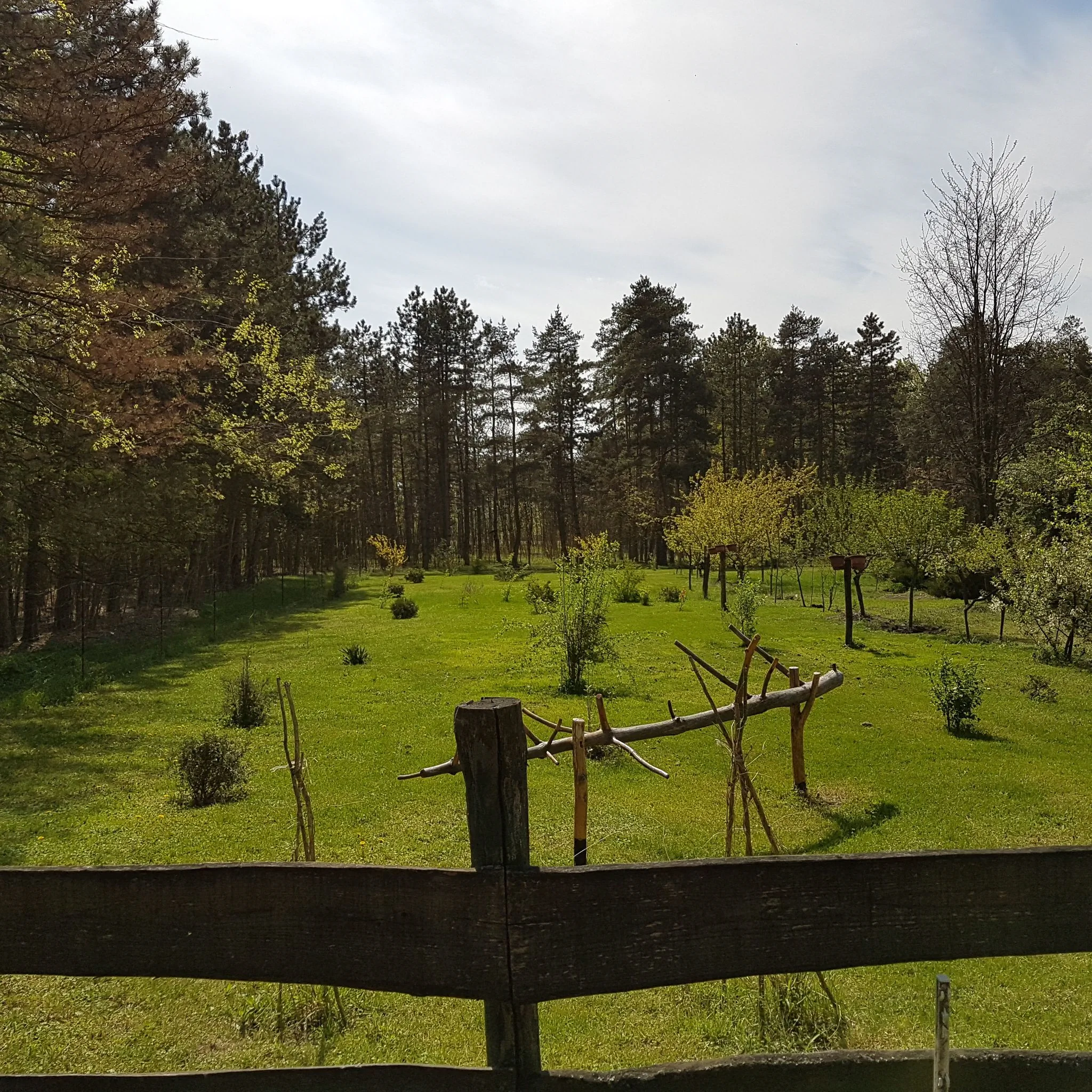 Kecskefarm Tápiószentmárton - foto 10