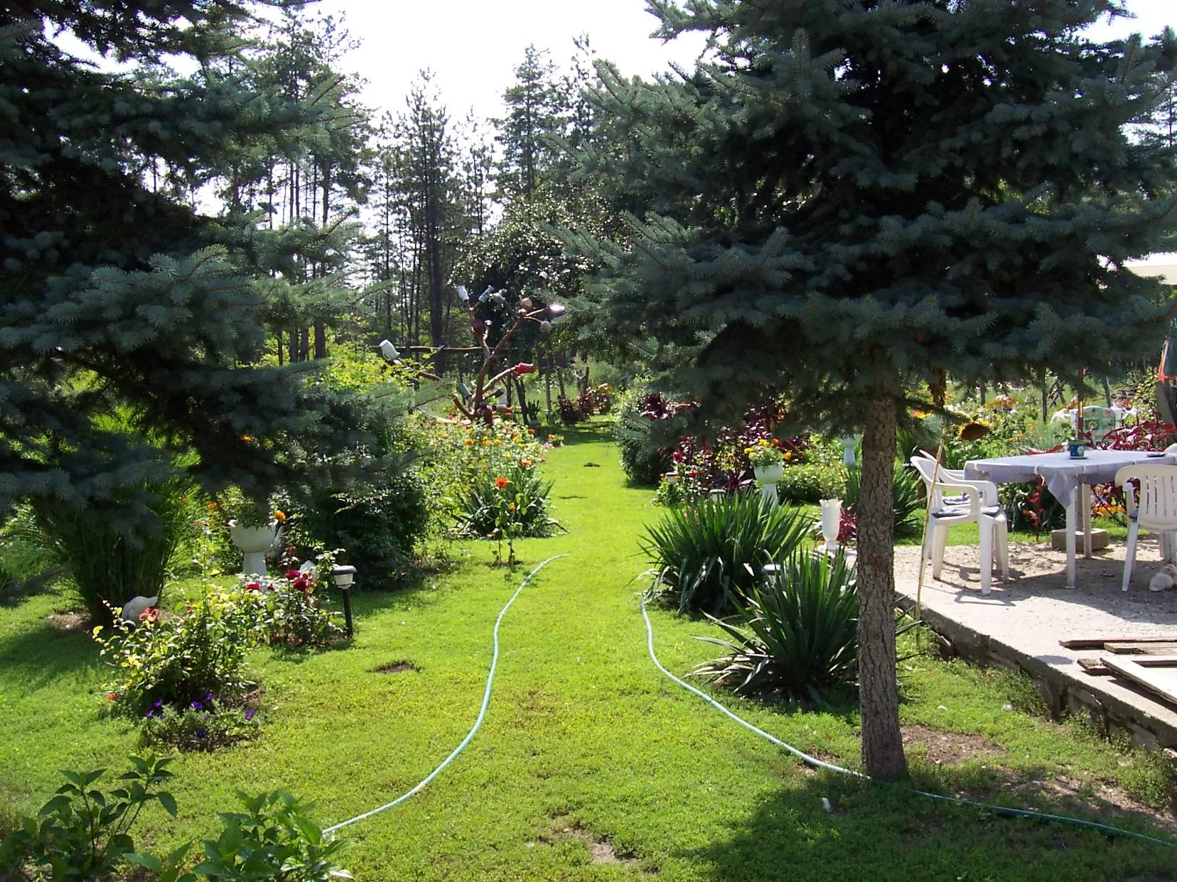 Kecskefarm Tápiószentmárton - foto 3