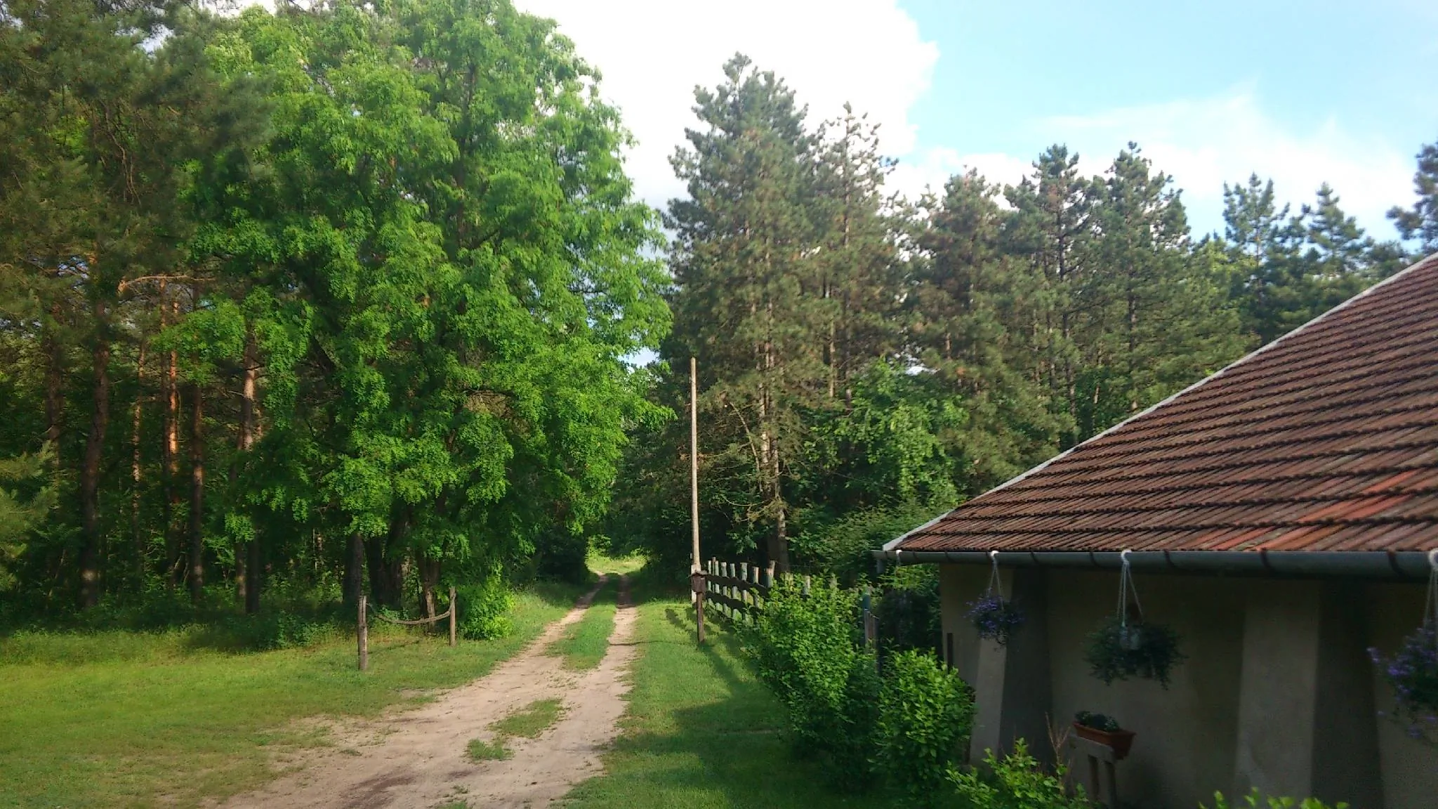 Kecskefarm Tápiószentmárton - foto 6