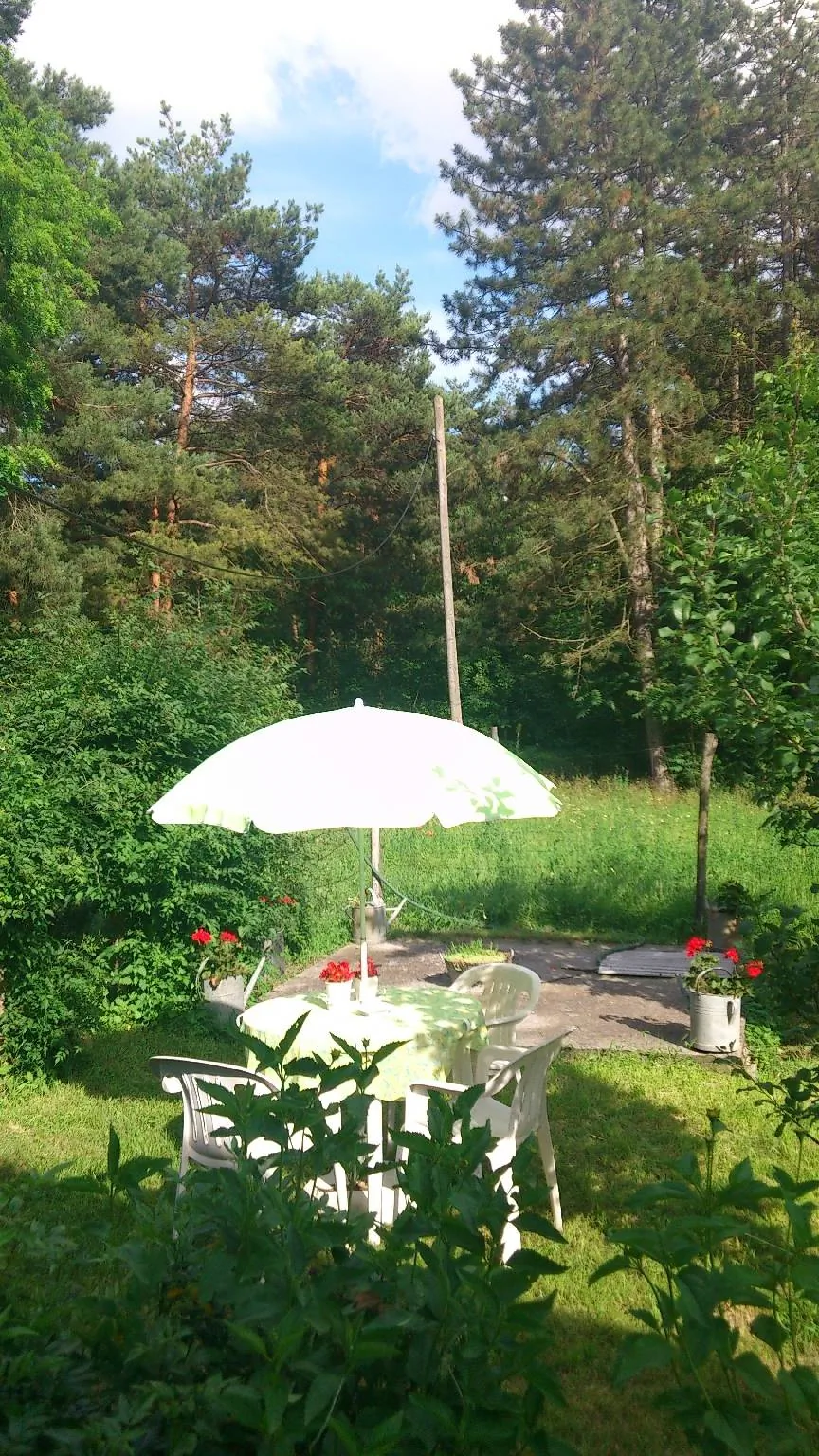 Kecskefarm Tápiószentmárton - foto 7