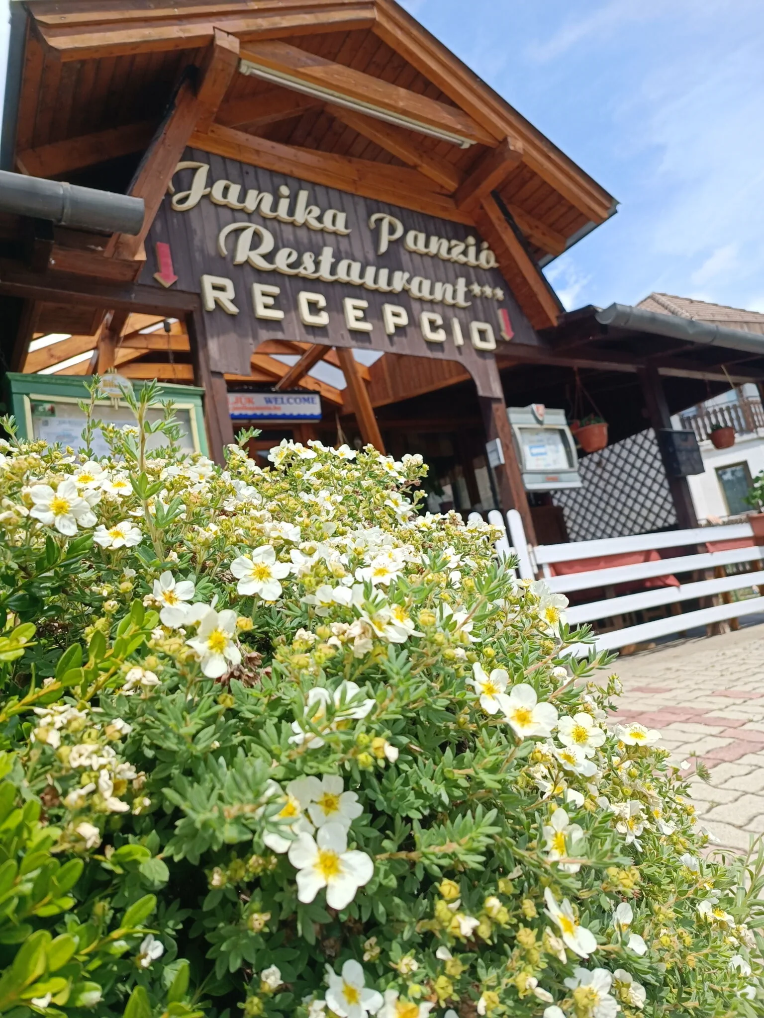Janika Panzió Vonyarcvashegy – Vonyarcvashegy, Ungaria