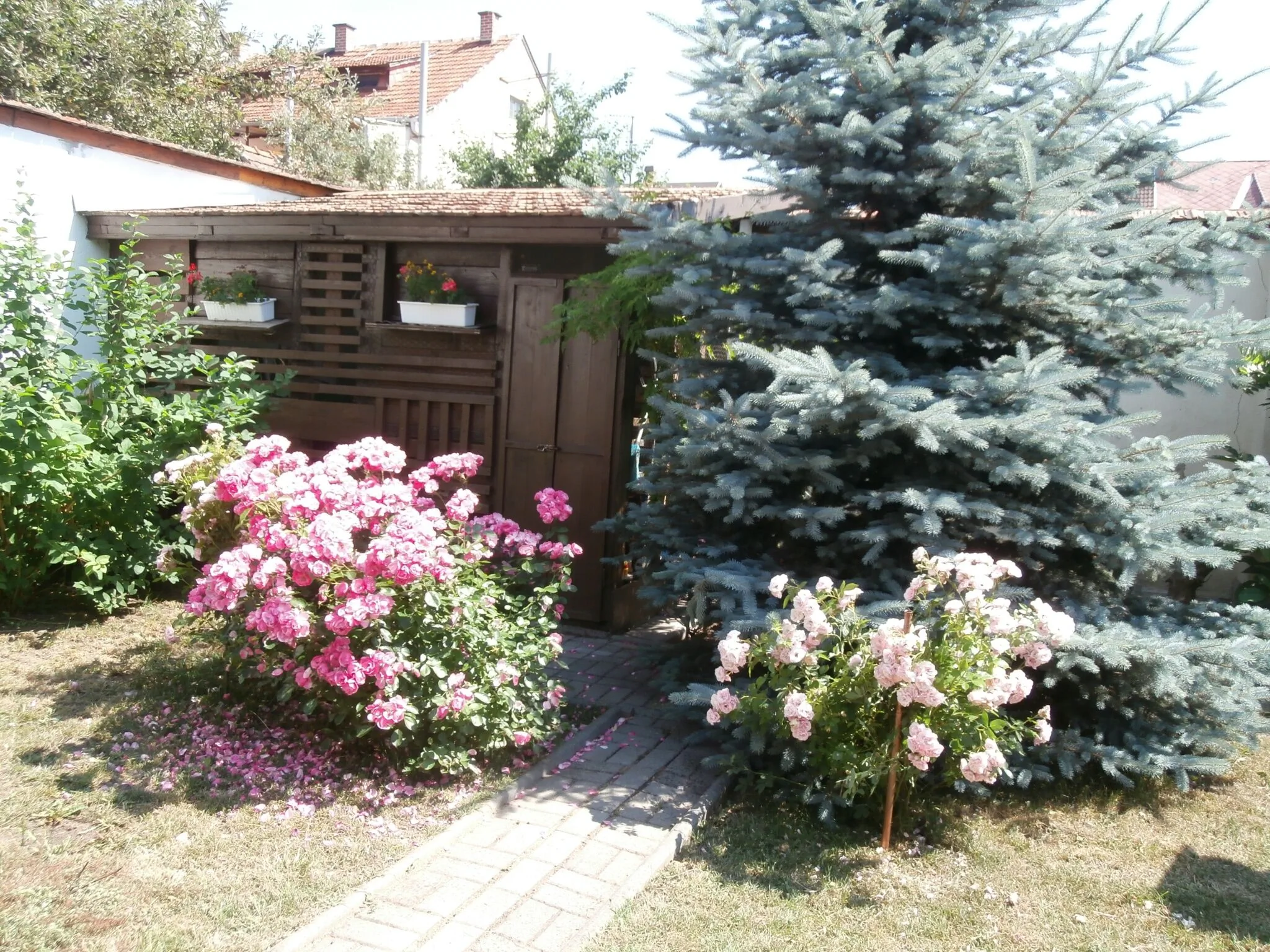 Ráchegy Apartman Eger – Eger, Ungaria