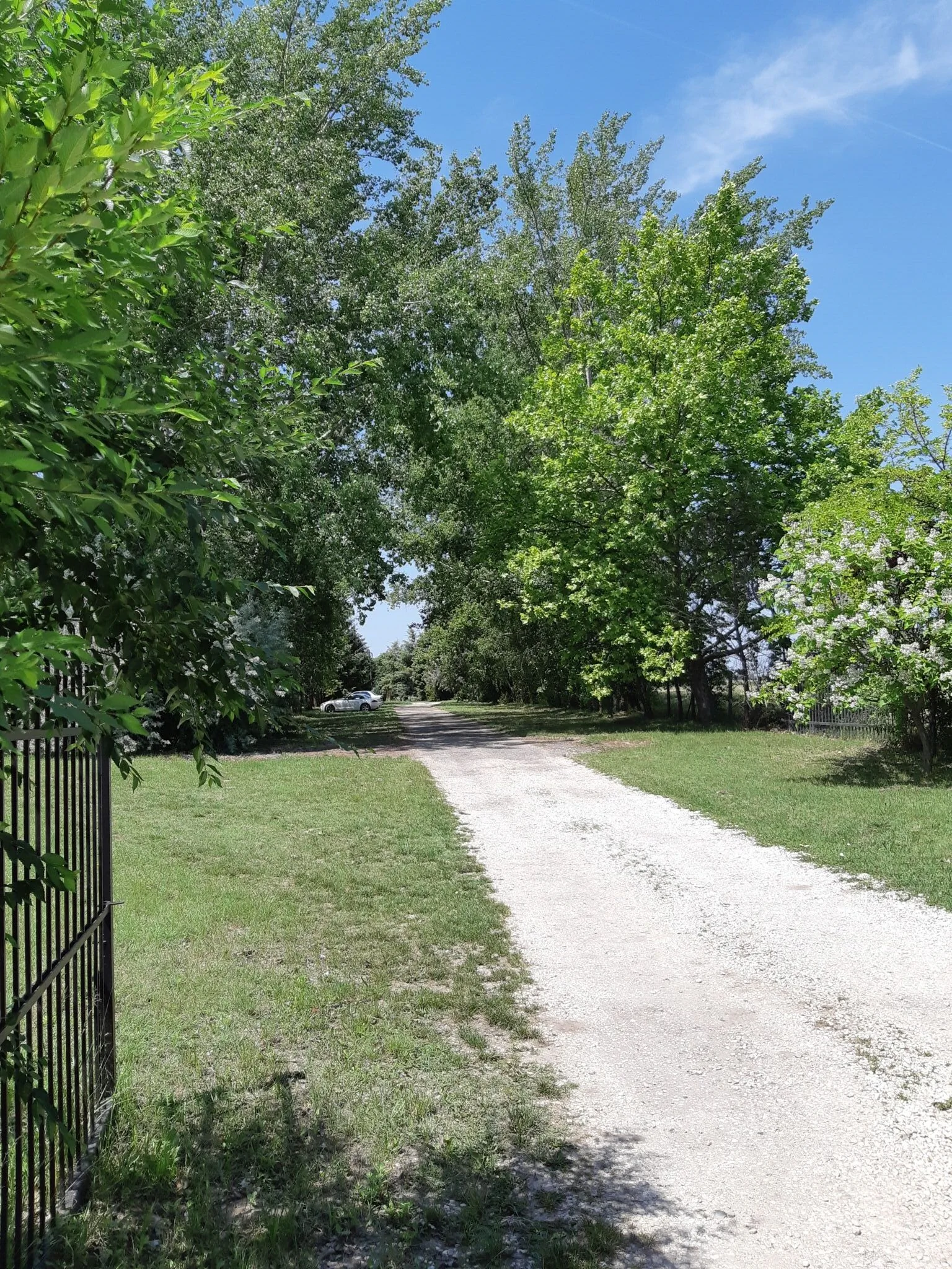 Nyárfás Vendégház Szeged - foto 2