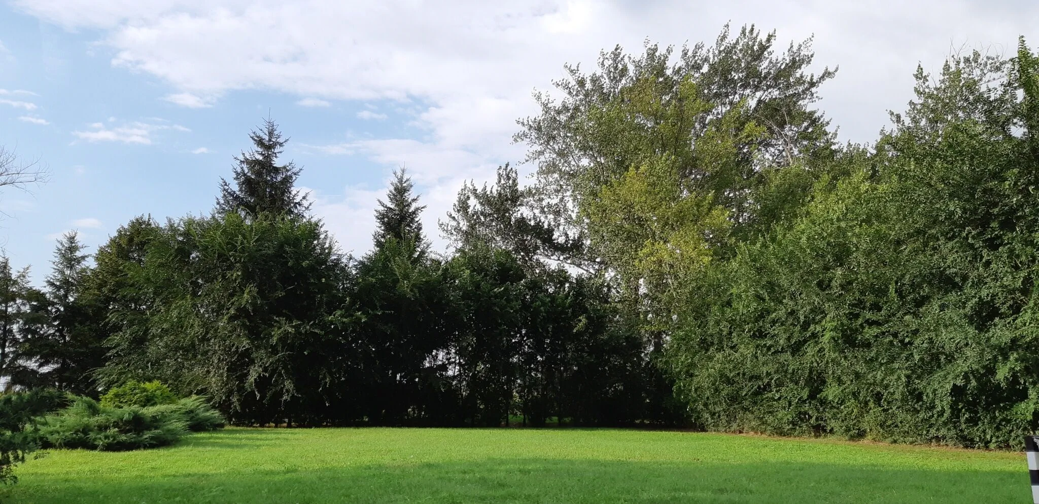 Nyárfás Vendégház Szeged - foto 9