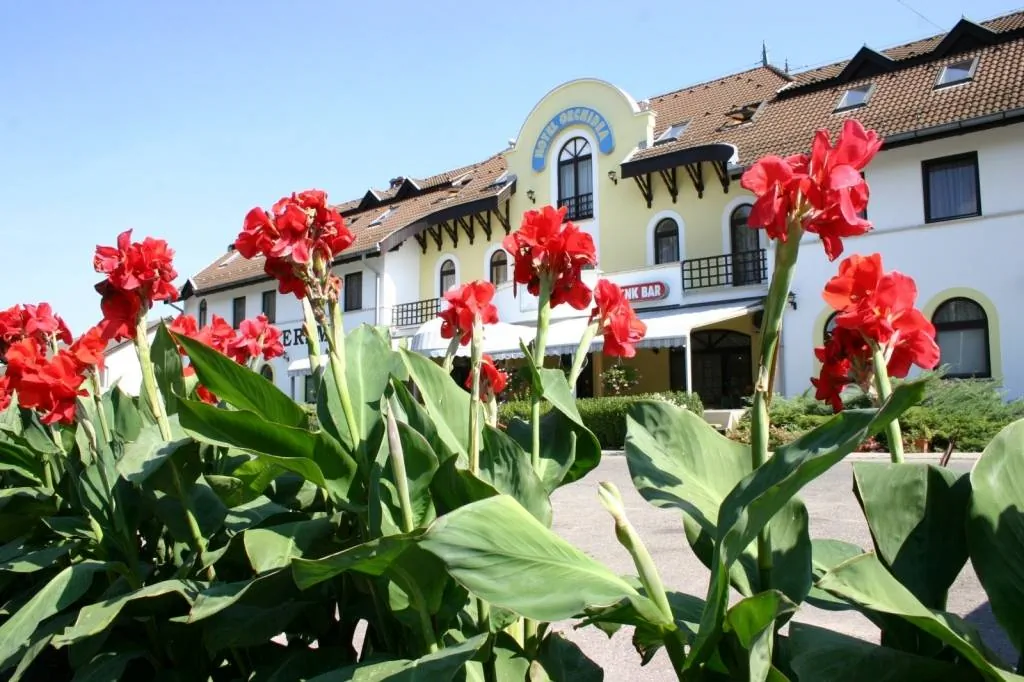 Hotel Orchidea Balástya – Balástya, Ungaria