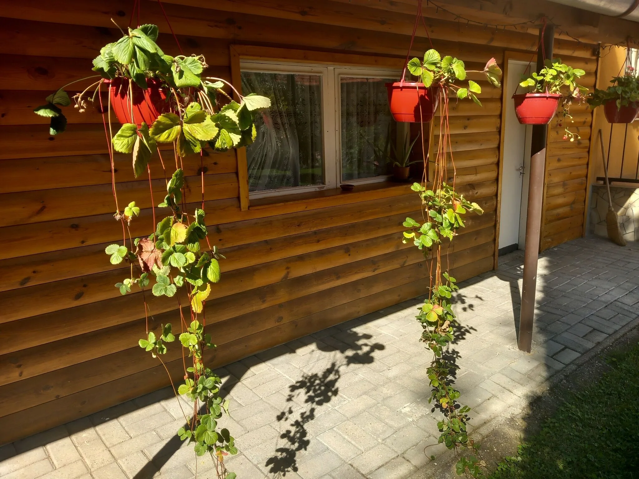 Kormos Vendégház Szilvásvárad - foto 7