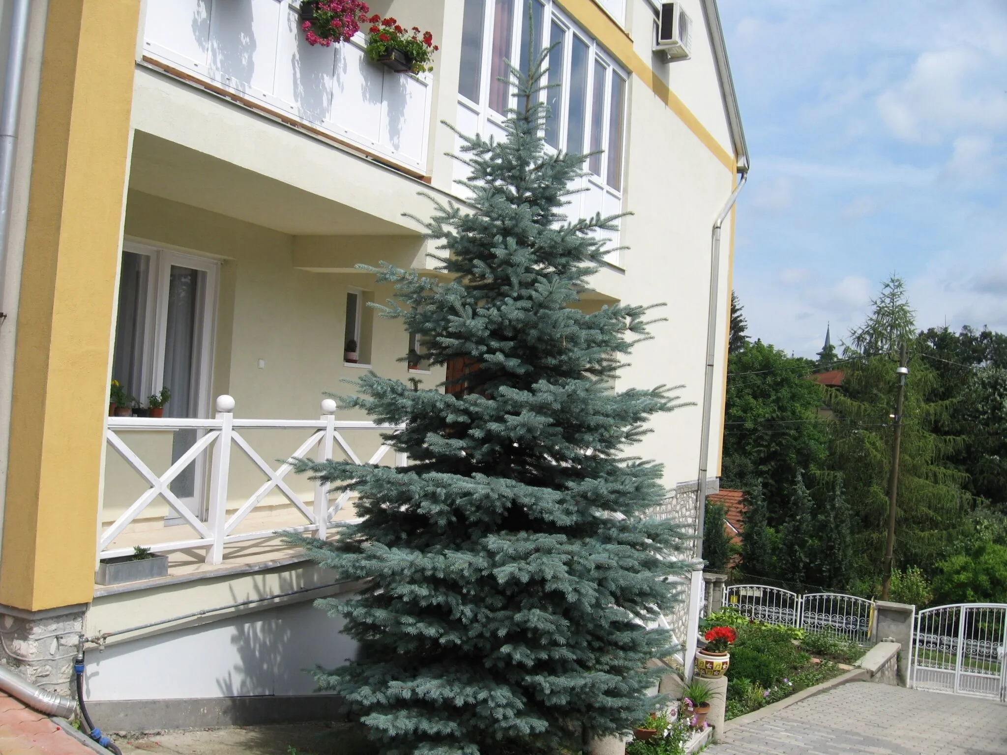 Sallai Vendégház Miskolctapolca – Miskolctapolca, Ungaria