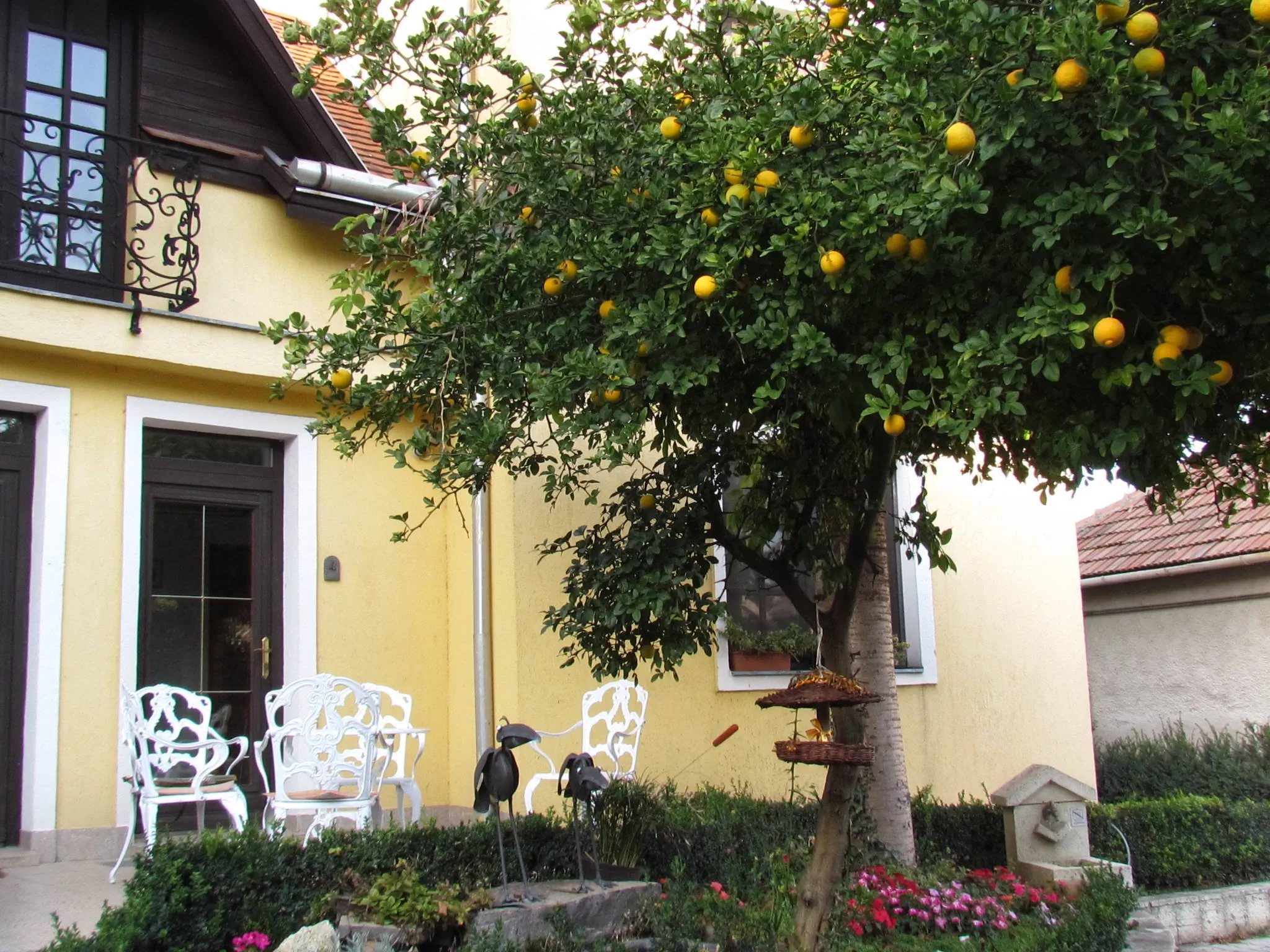 Torkolat Panzió Tokaj – Tokaj, Węgry