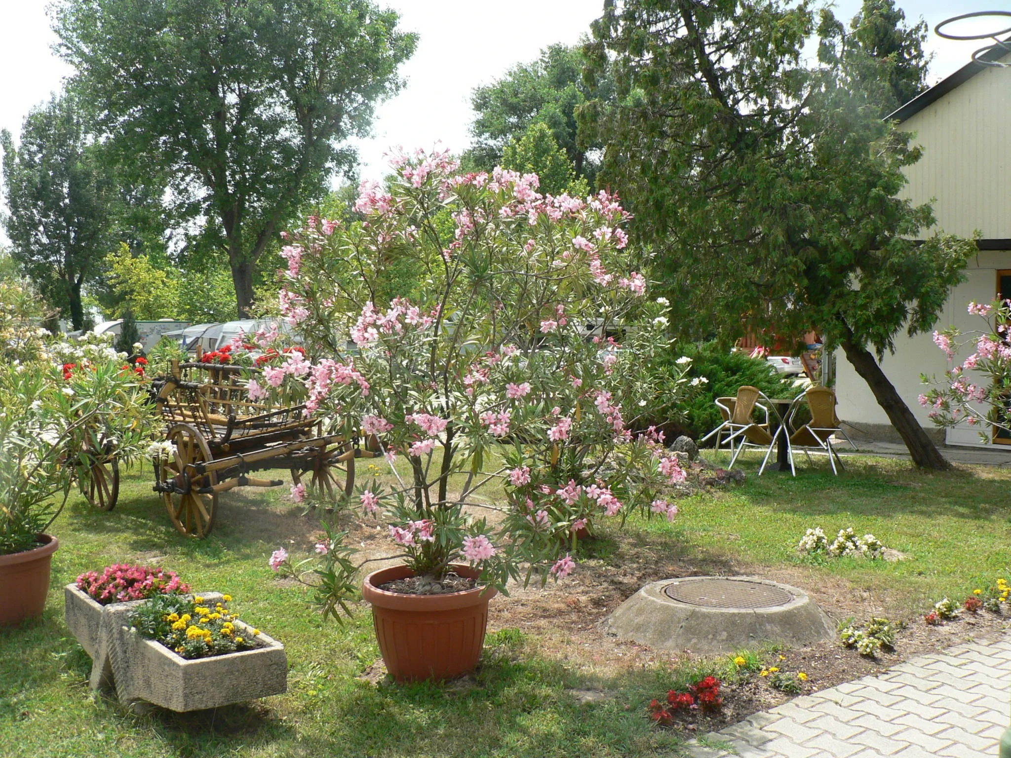 Balaton Eldorado Camping Badacsonylábdihegy – Badacsonylábdihegy, Ungaria