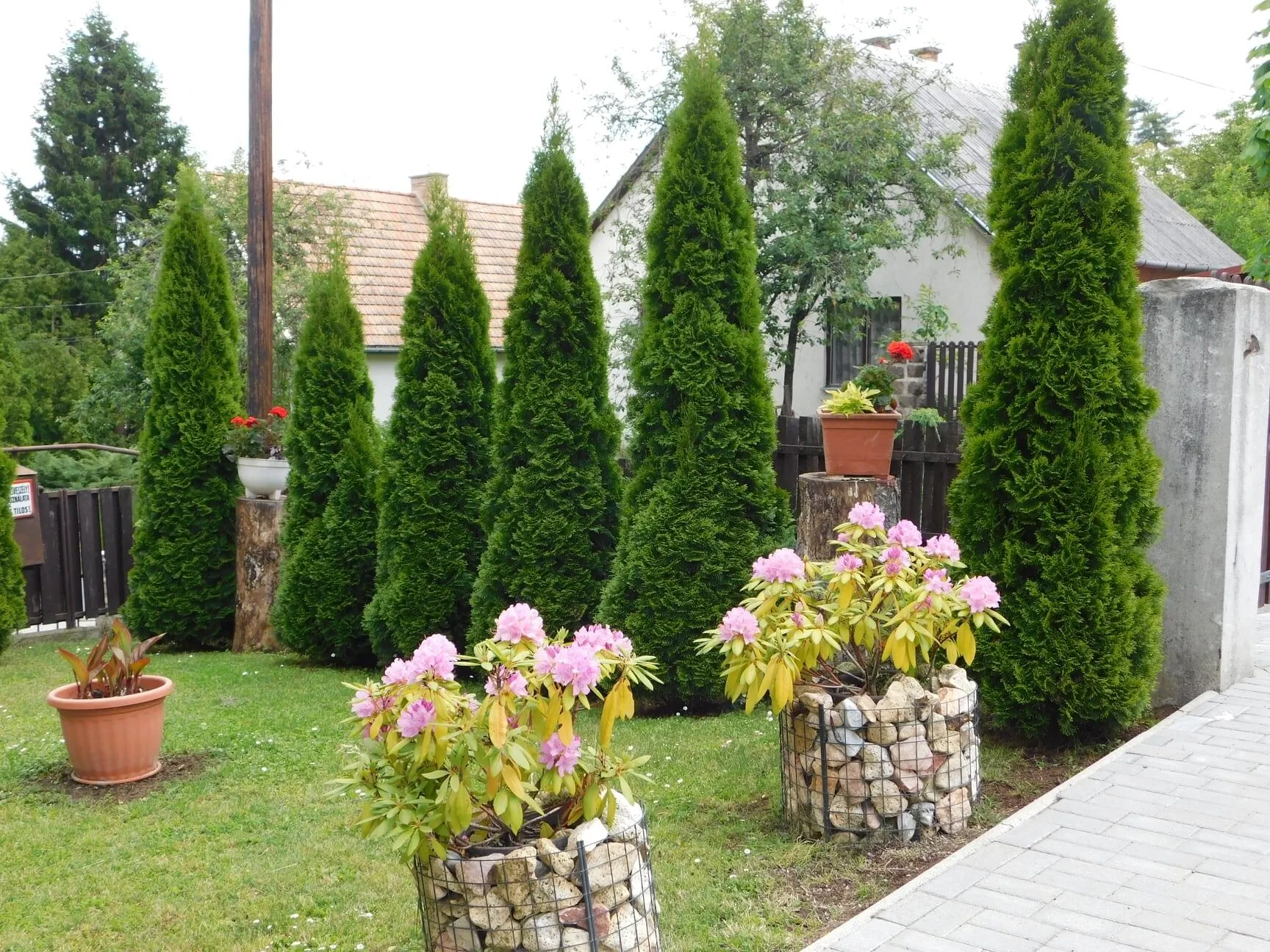 Fenyő Vendégház Parádsasvár - foto 2