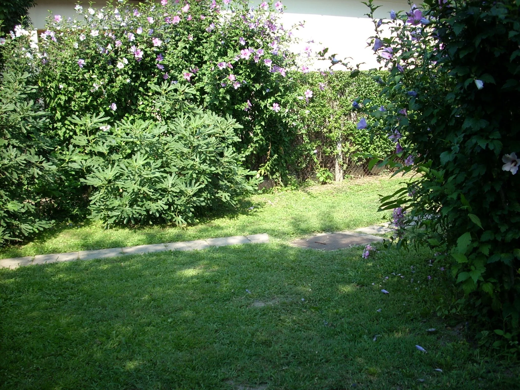 Zsuzsanna Vízközeli Kertes Apartman Balatonlelle – Balatonlelle, Ungaria