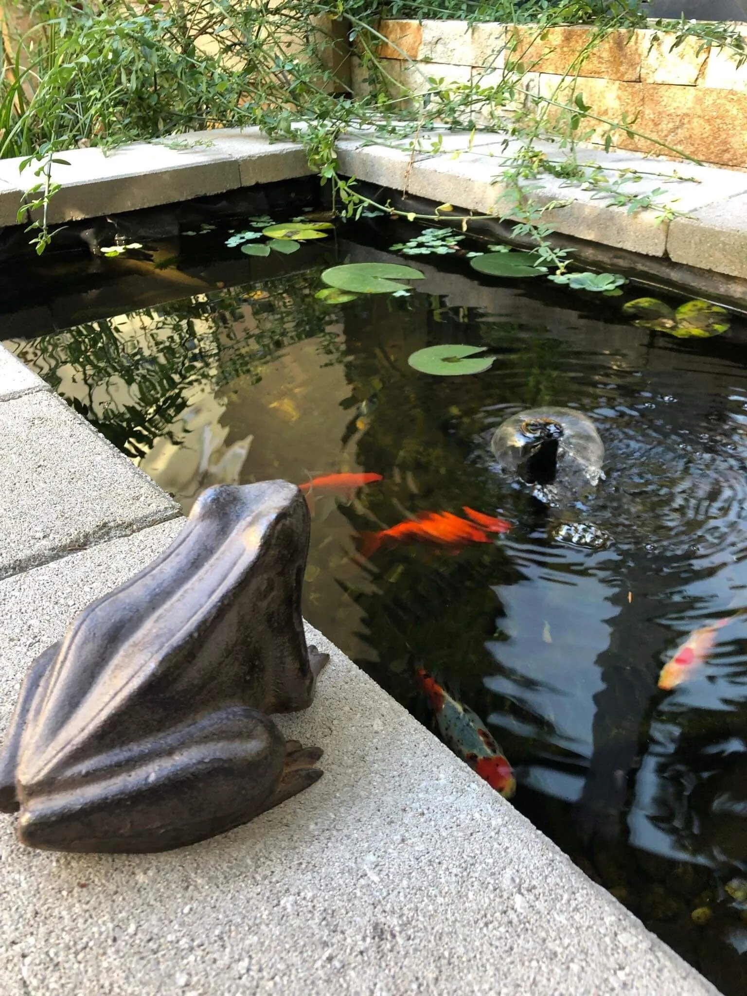 Margaréta Garden & Spa Eger – Eger, Ungaria