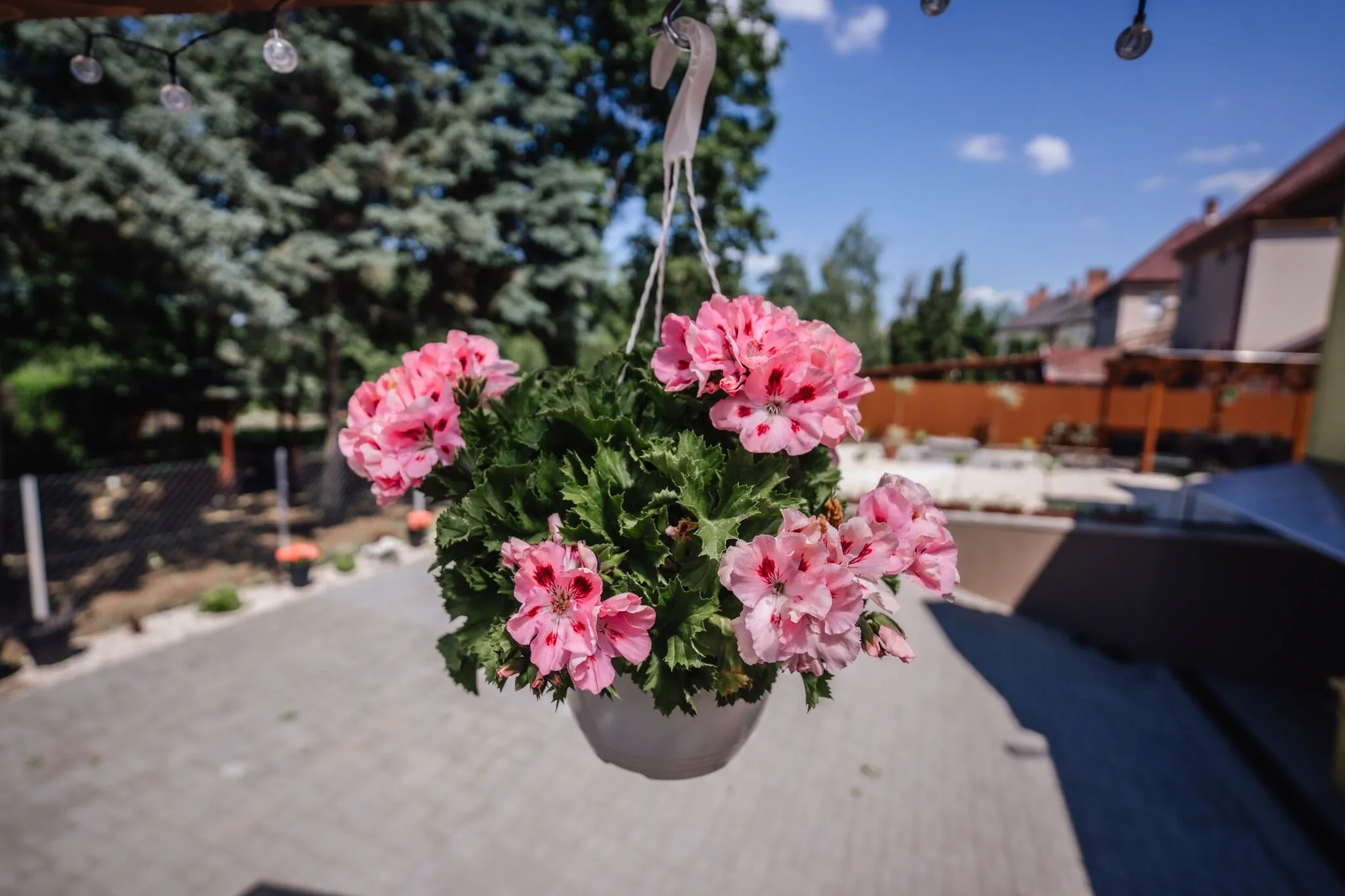 Szabó Vendégház Tiszafüred - foto 6