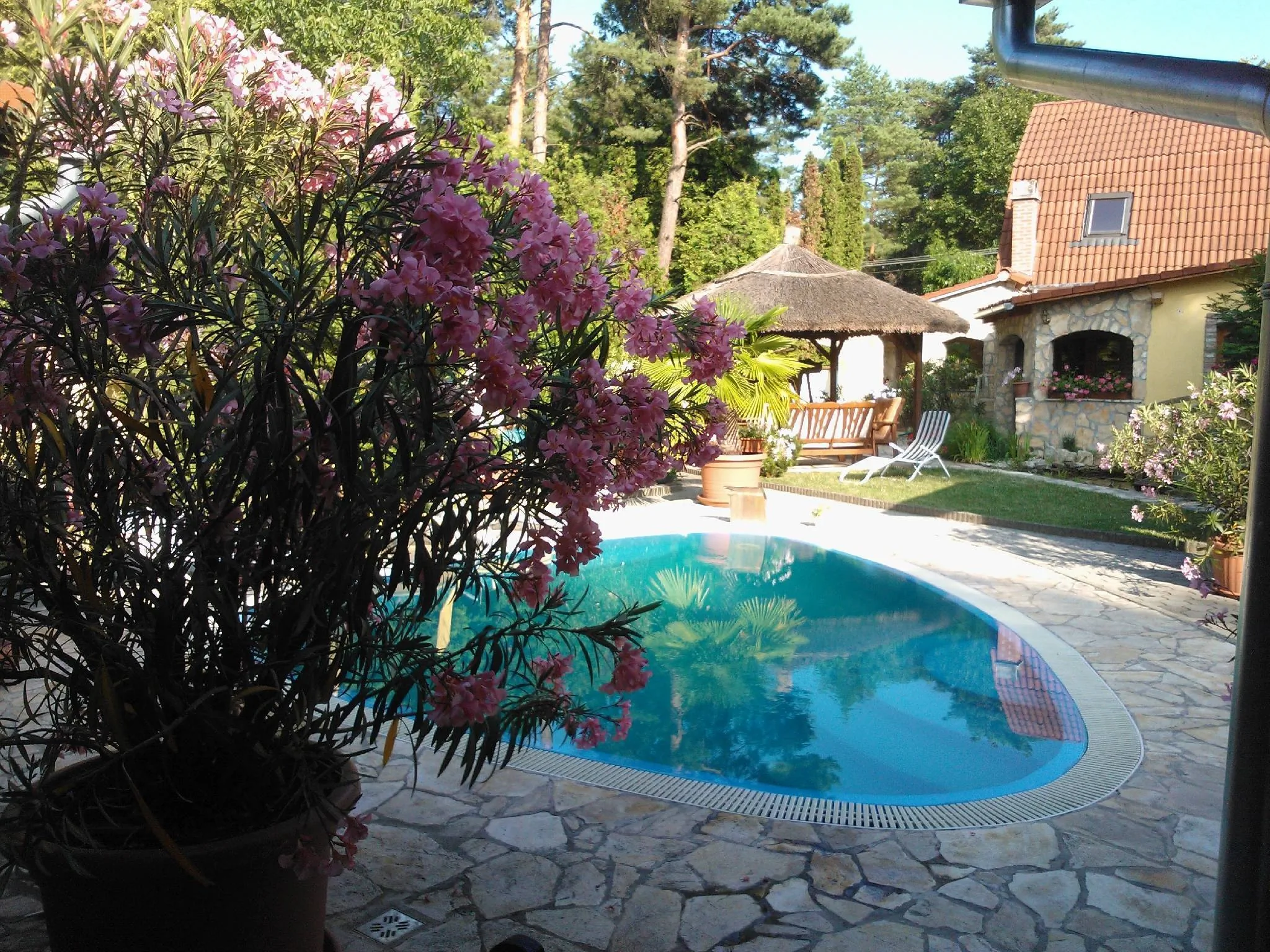 Mediterrán Apartmanház Szántód - foto 10