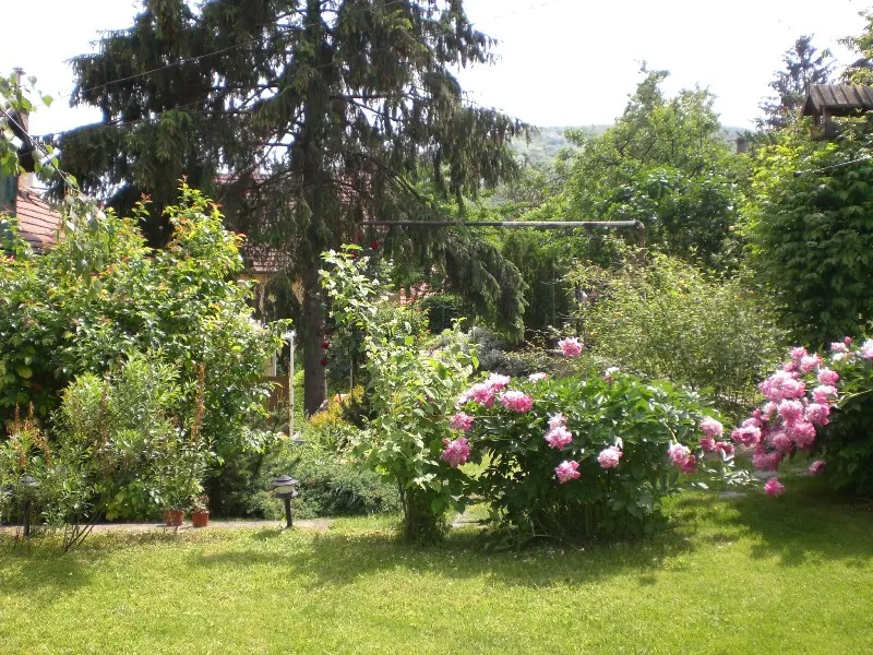 Böne Vendégház Tokaj – Tokaj, Ungaria