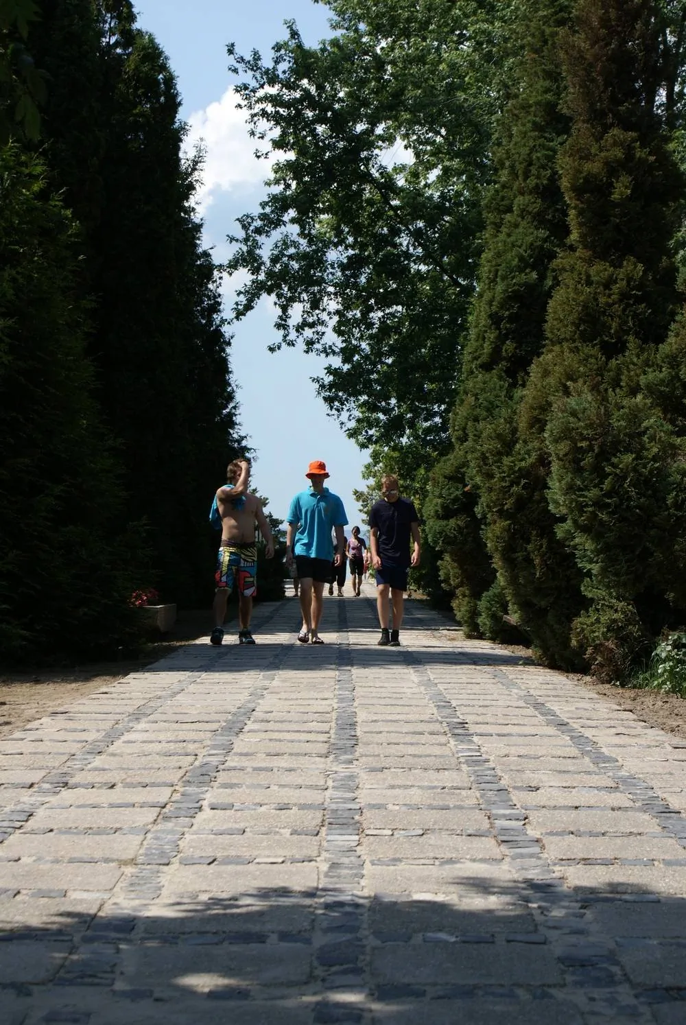 Riviéra Park Hotel Balatonföldvár - foto 3