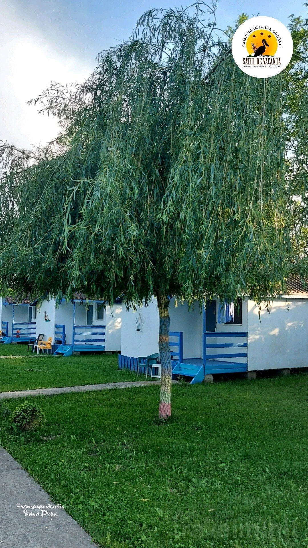 Popas turistic Nufărul Partizani – Partizani, România
