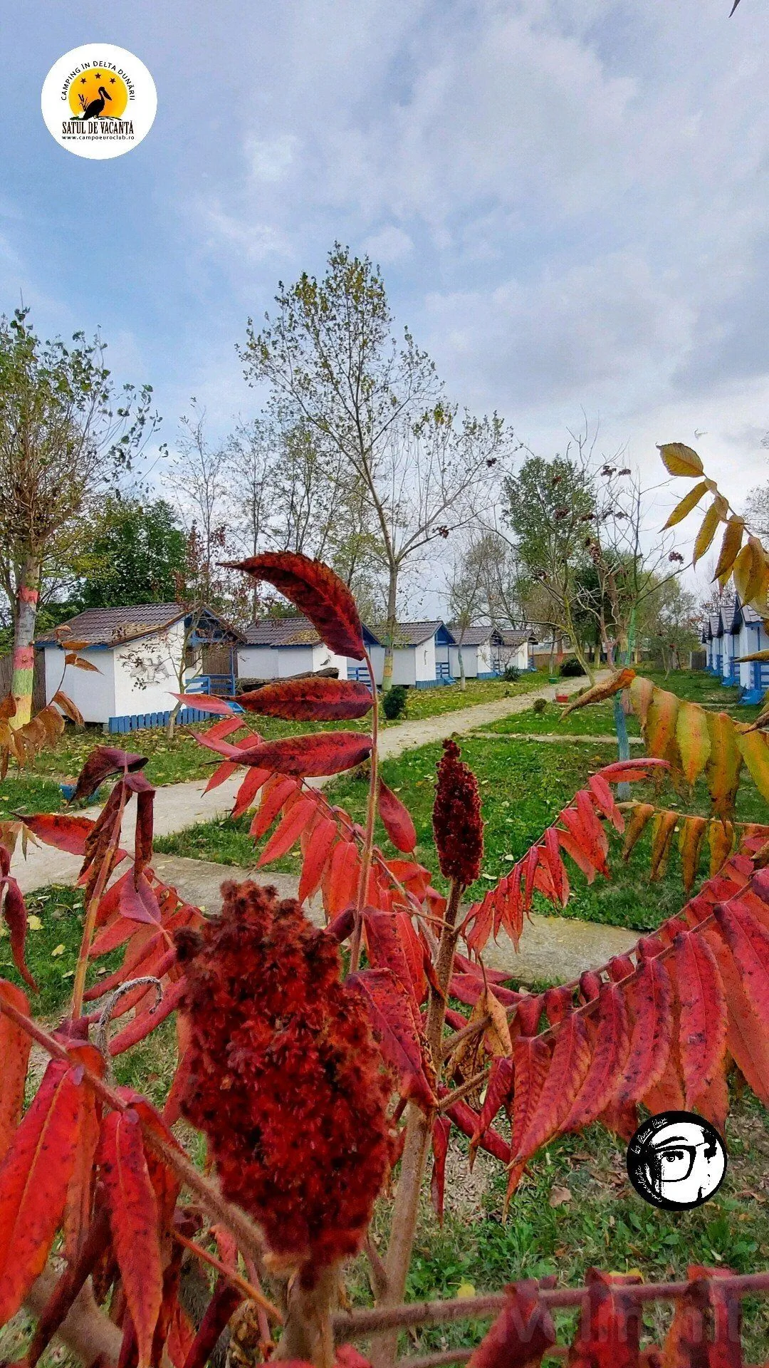 Popas turistic Nufărul Partizani – Partizani, România