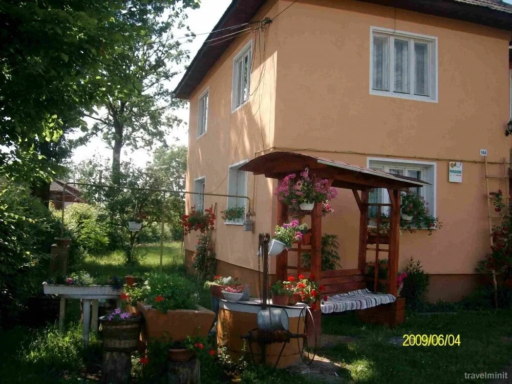 Pensiunea Jutka Coltău – Coltău, România