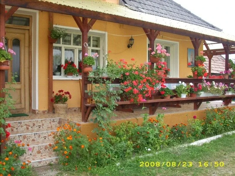 Pensiunea Jutka Coltău – Coltău, România