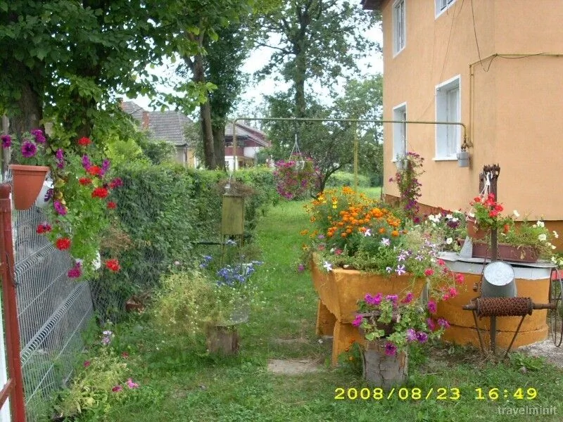 Pensiunea Jutka Coltău – Coltău, România