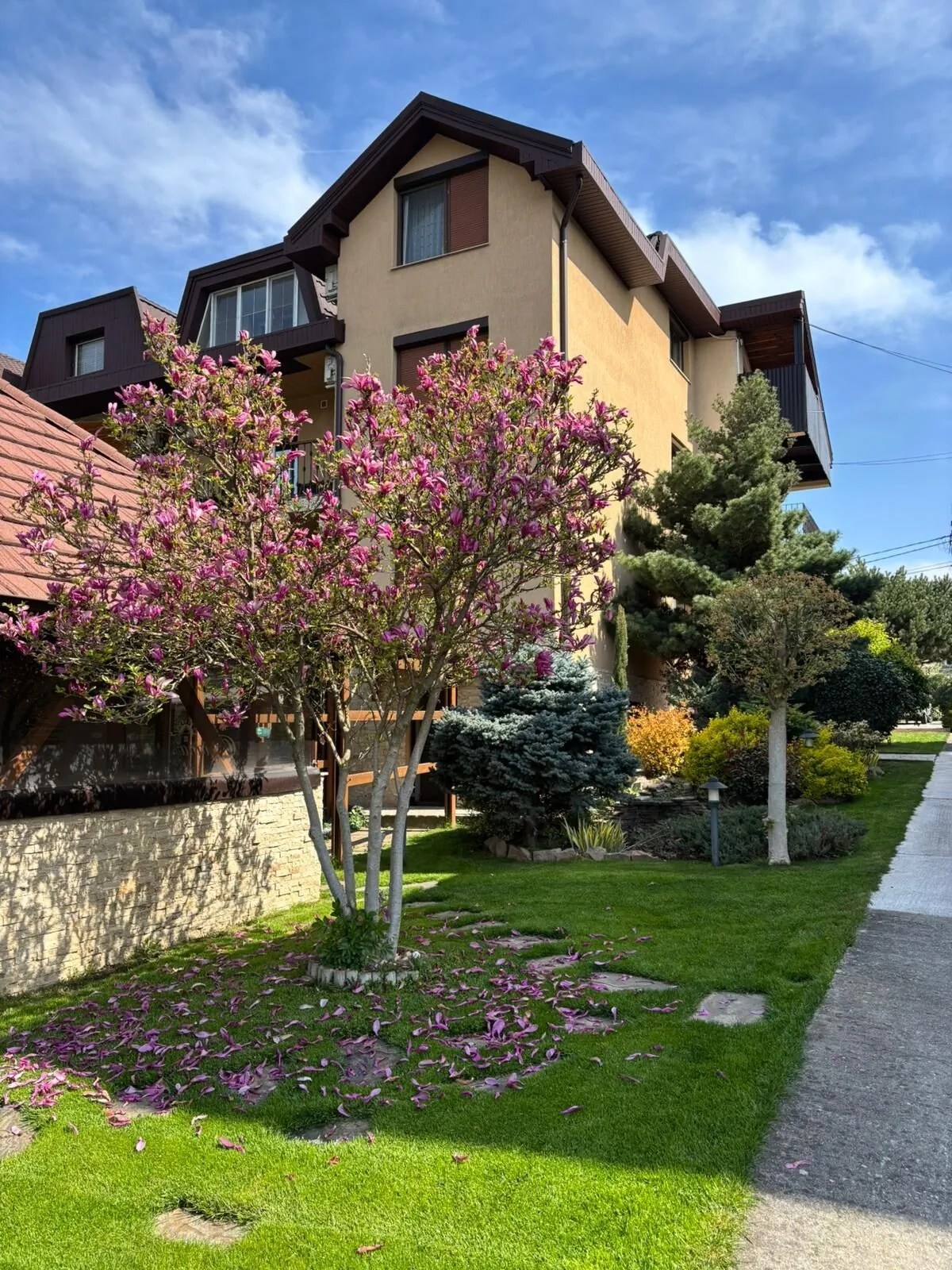 Pensiunea Diana Băile Felix – Băile Felix, România