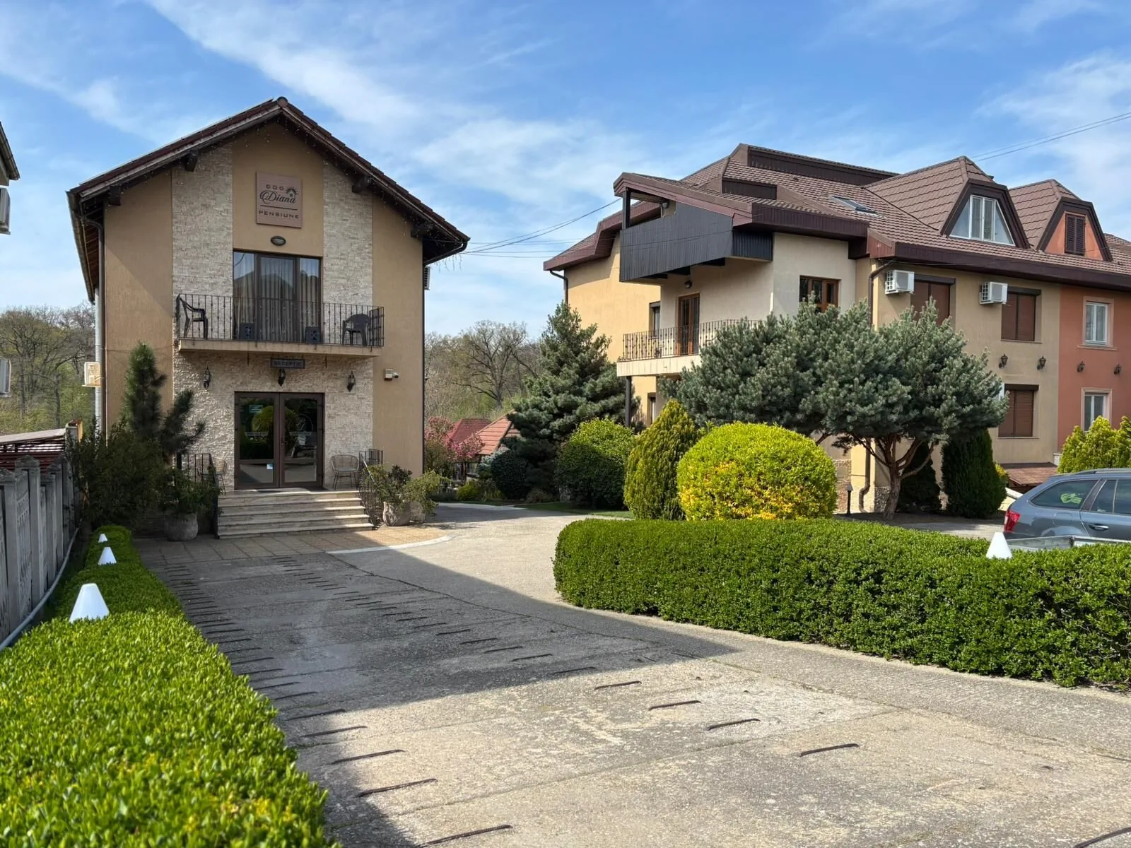 Pensiunea Diana Băile Felix – Băile Felix, România