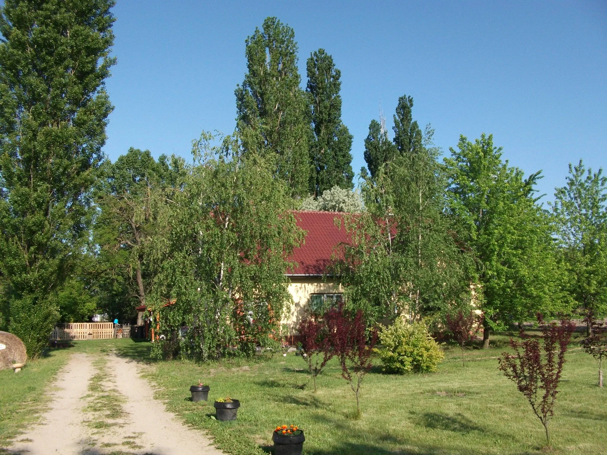 Páva Vendégház Mórahalom - foto 5