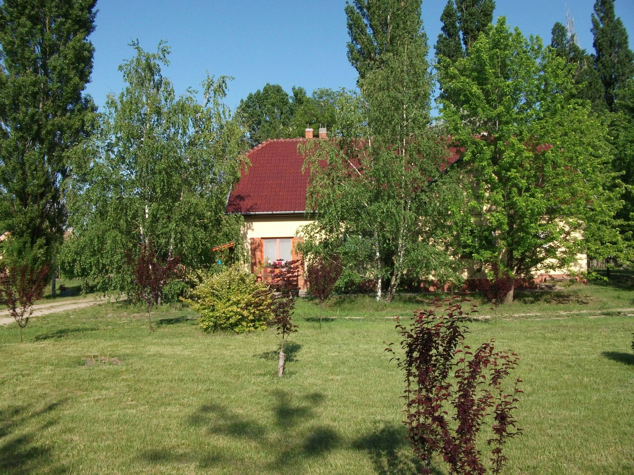 Páva Vendégház Mórahalom - foto 4