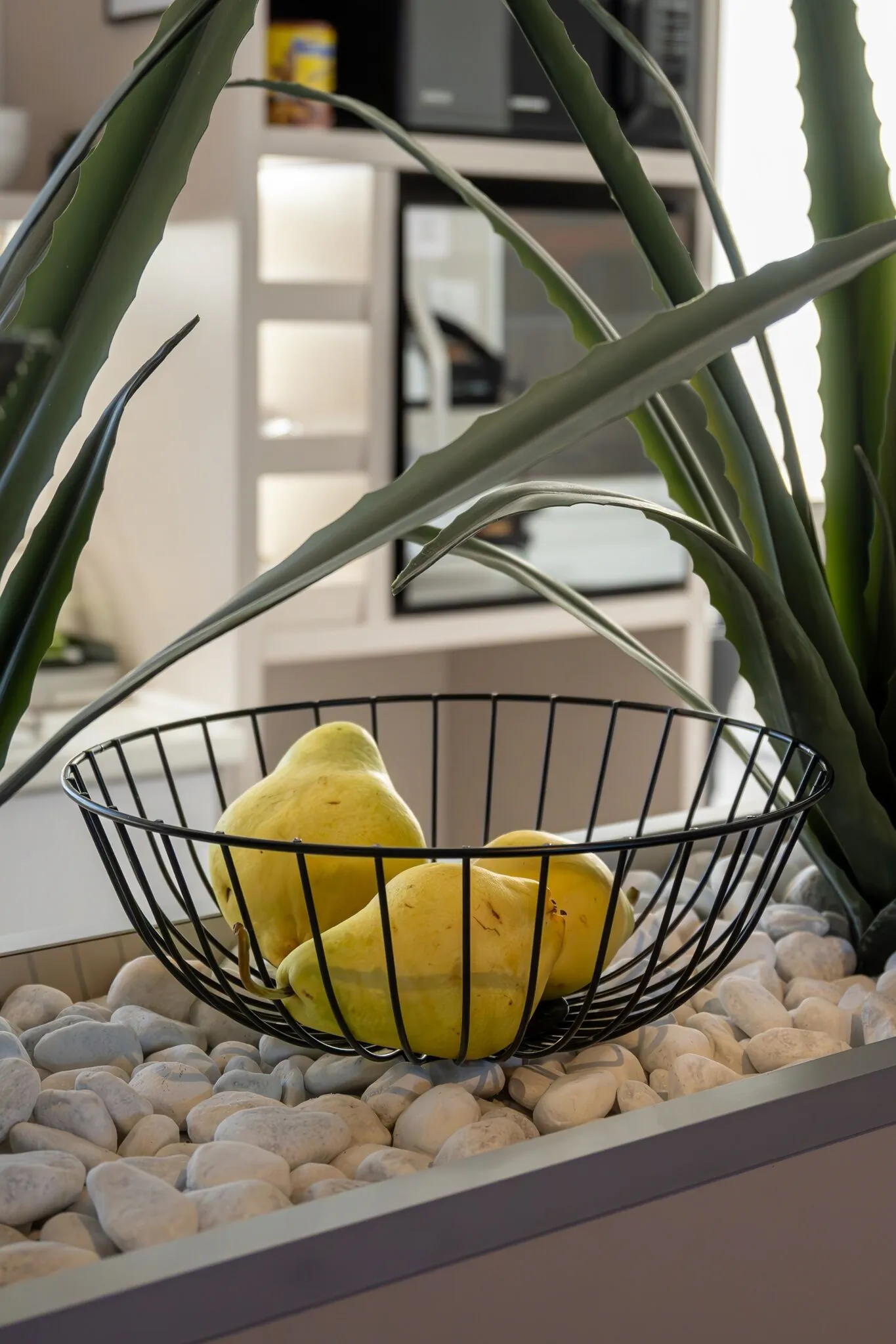 Hotel Central Pécs – Pécs, Maďarsko