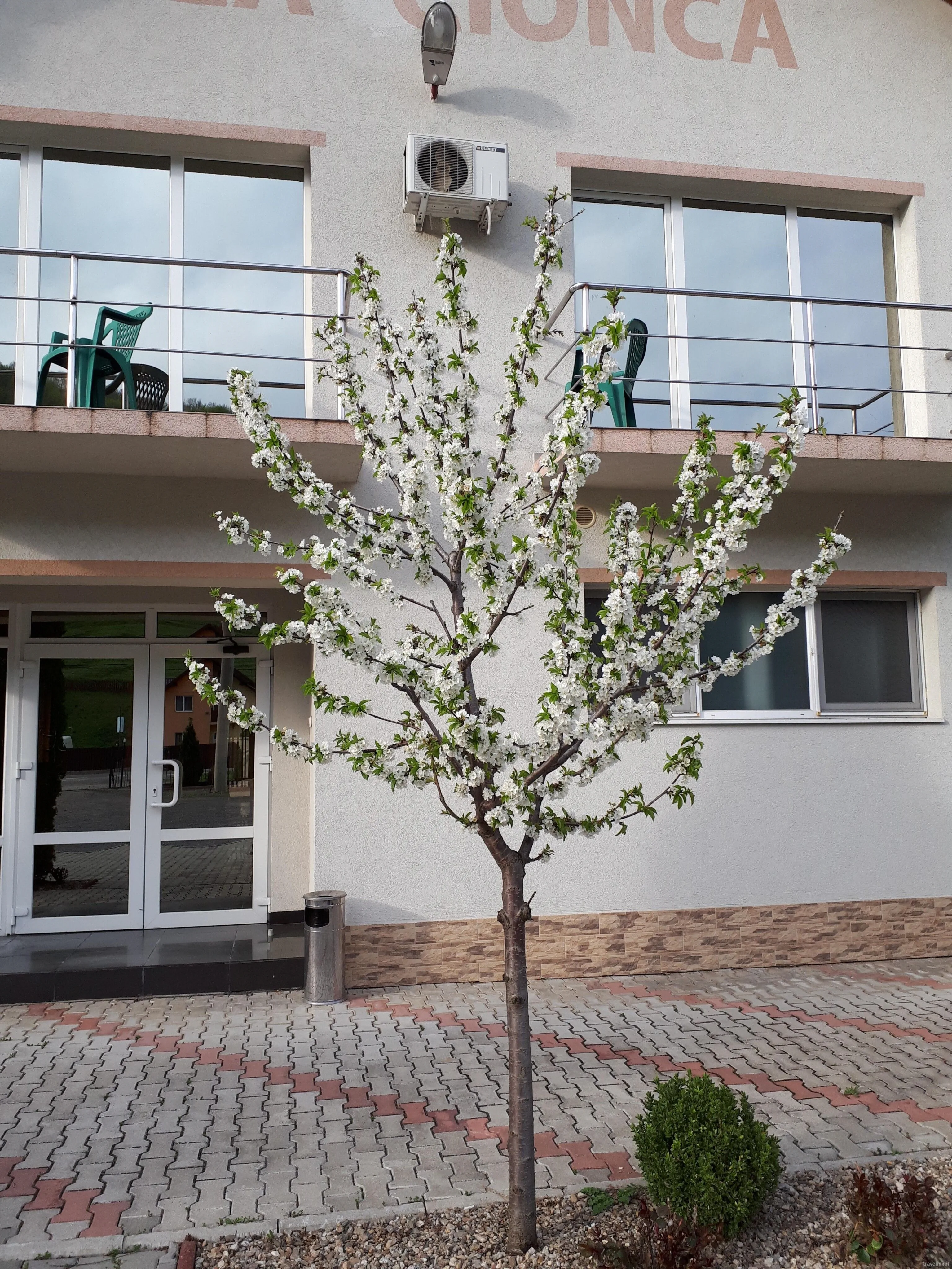 Pensiunea Cionca Gilău – Gilău, România