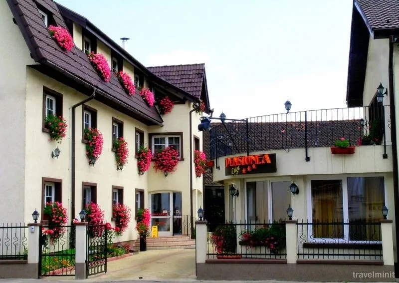 Pensiunea Luiza Brașov – Brașov, România