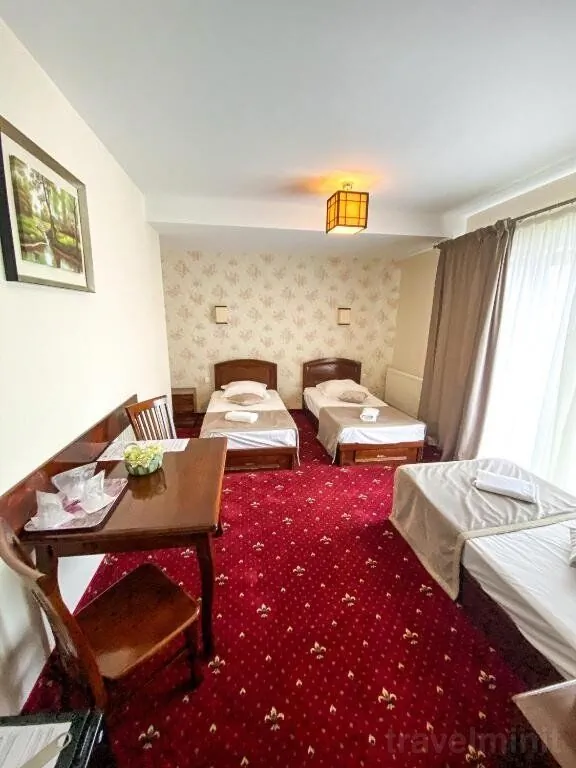Pensiunea De Vis - Adult Only Buftea – Buftea, România