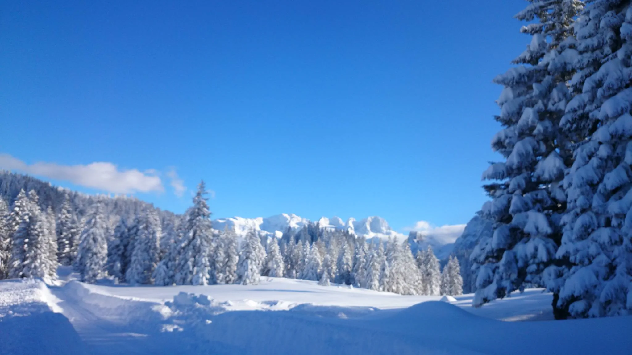 Alpenpension Unterschlag Annaberg im Lammertal – Annaberg im Lammertal, Austria