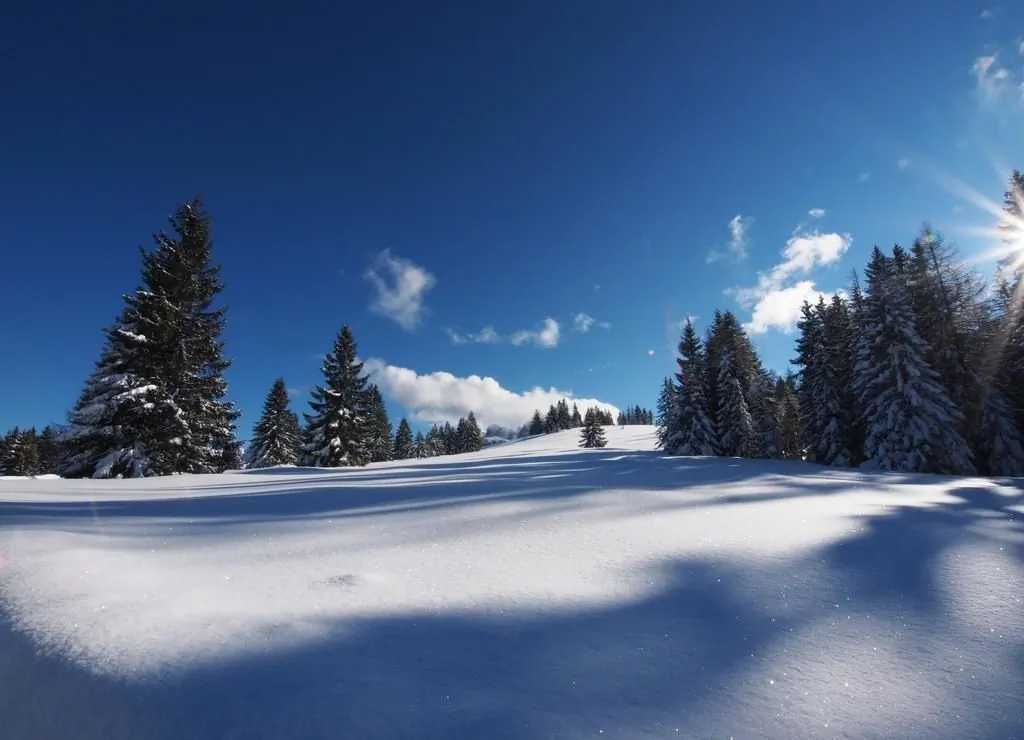 Alpenpension Unterschlag Annaberg im Lammertal – Annaberg im Lammertal, Austria