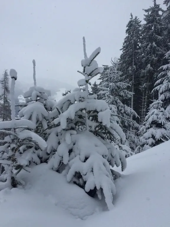 Kramerhaus Hollersbach – Hollersbach im Pinzgau, Austria