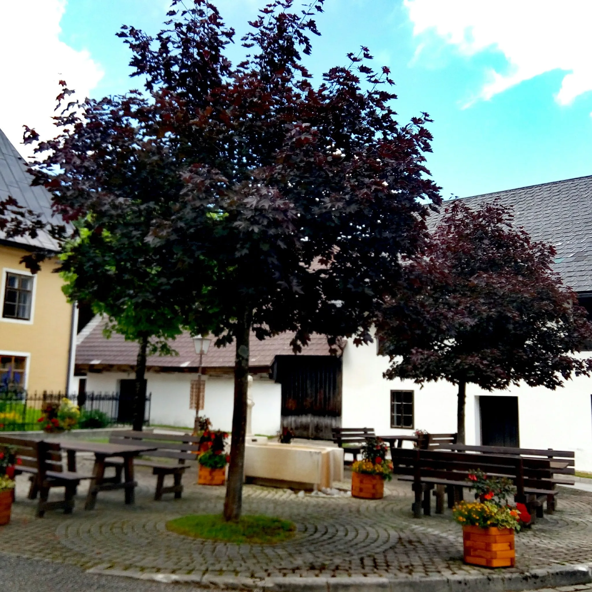 Pension Zur Post Lackenhof – Lackenhof, Austria